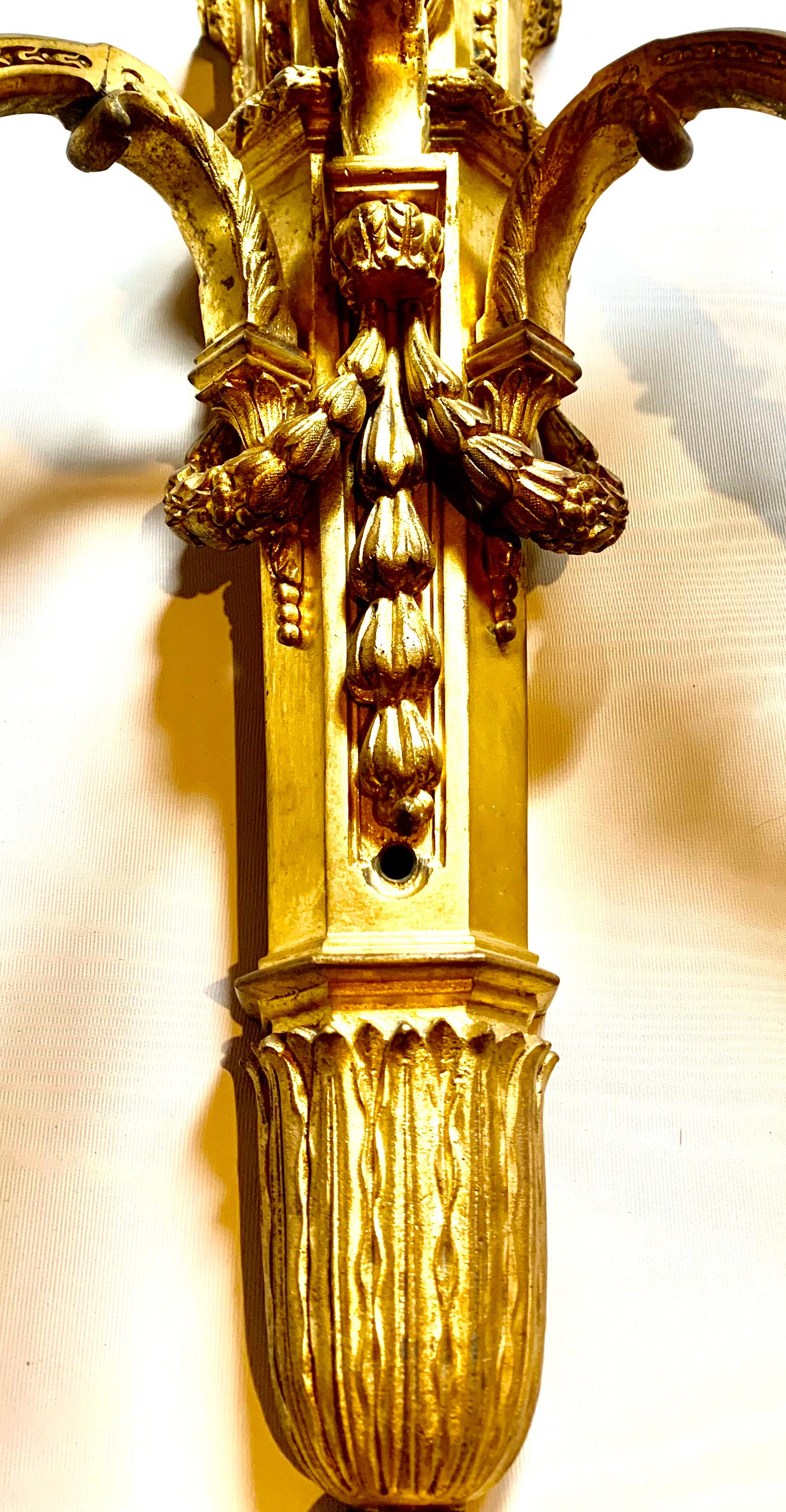 Bronze Fine paire d'appliques à cinq lumières de style Loius XVI en bronze doré de taille palais en vente