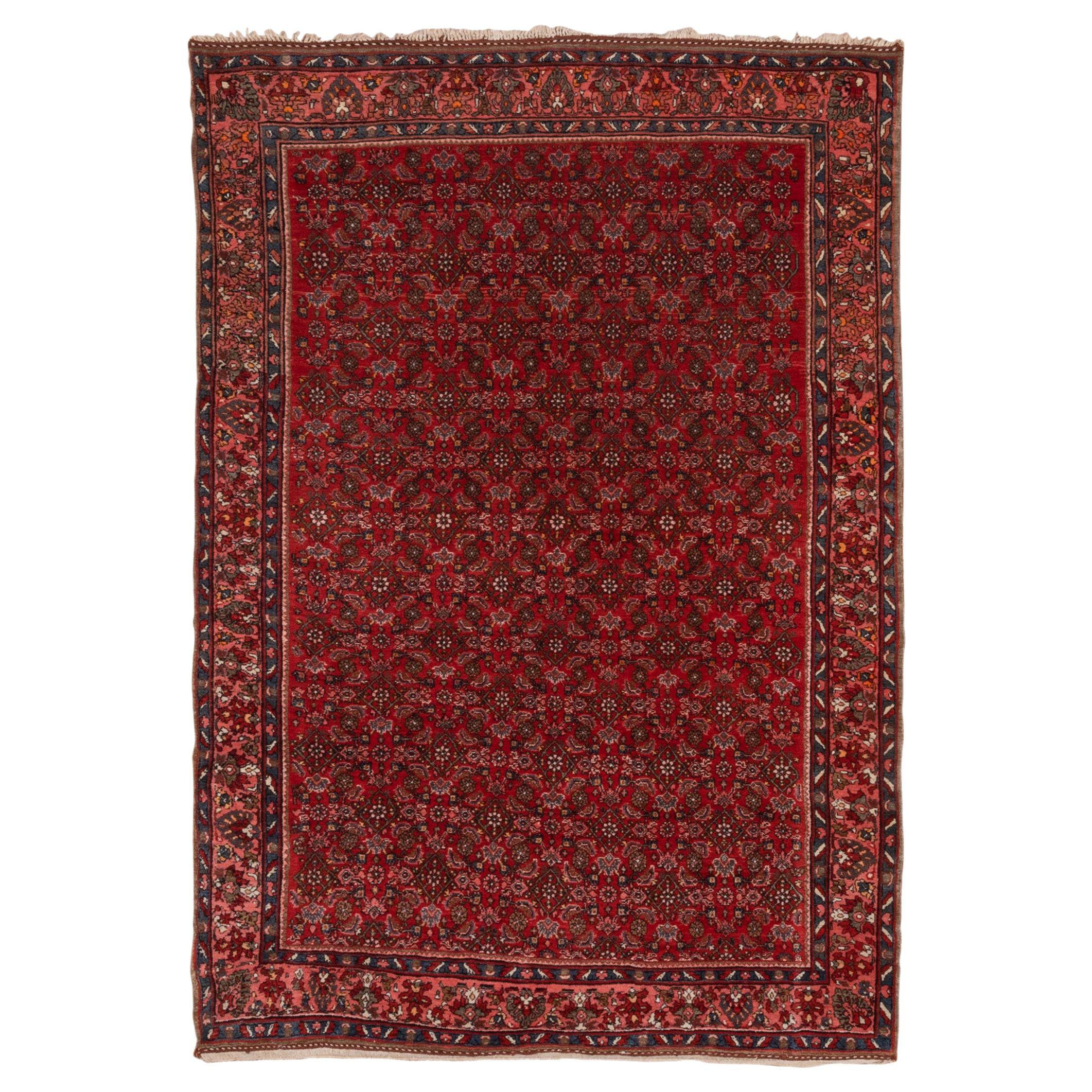 Fine Antique Persian Bidjar Carpet, Red Field, All-Over Field, Pink Borders