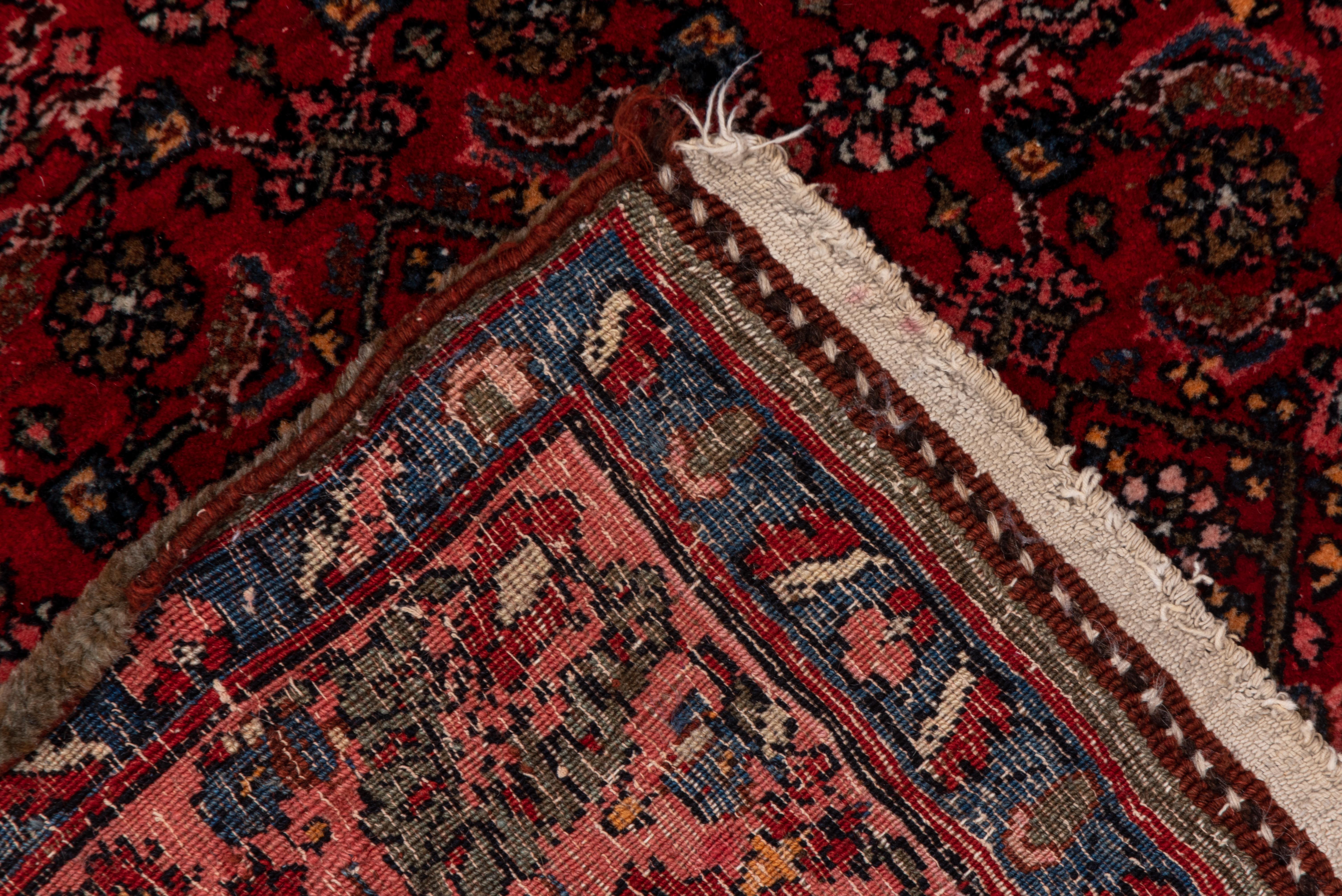 Das knackig gesättigte krapprote Feld ist dicht mit einem traditionellen Allover-Herati-Muster bedeckt, während die muschelrosa Hauptbordüre Palmetten im Wechsel mit umgekehrt blühenden Pflanzen zeigt. Guter Zustand. Feste Bindung.
 