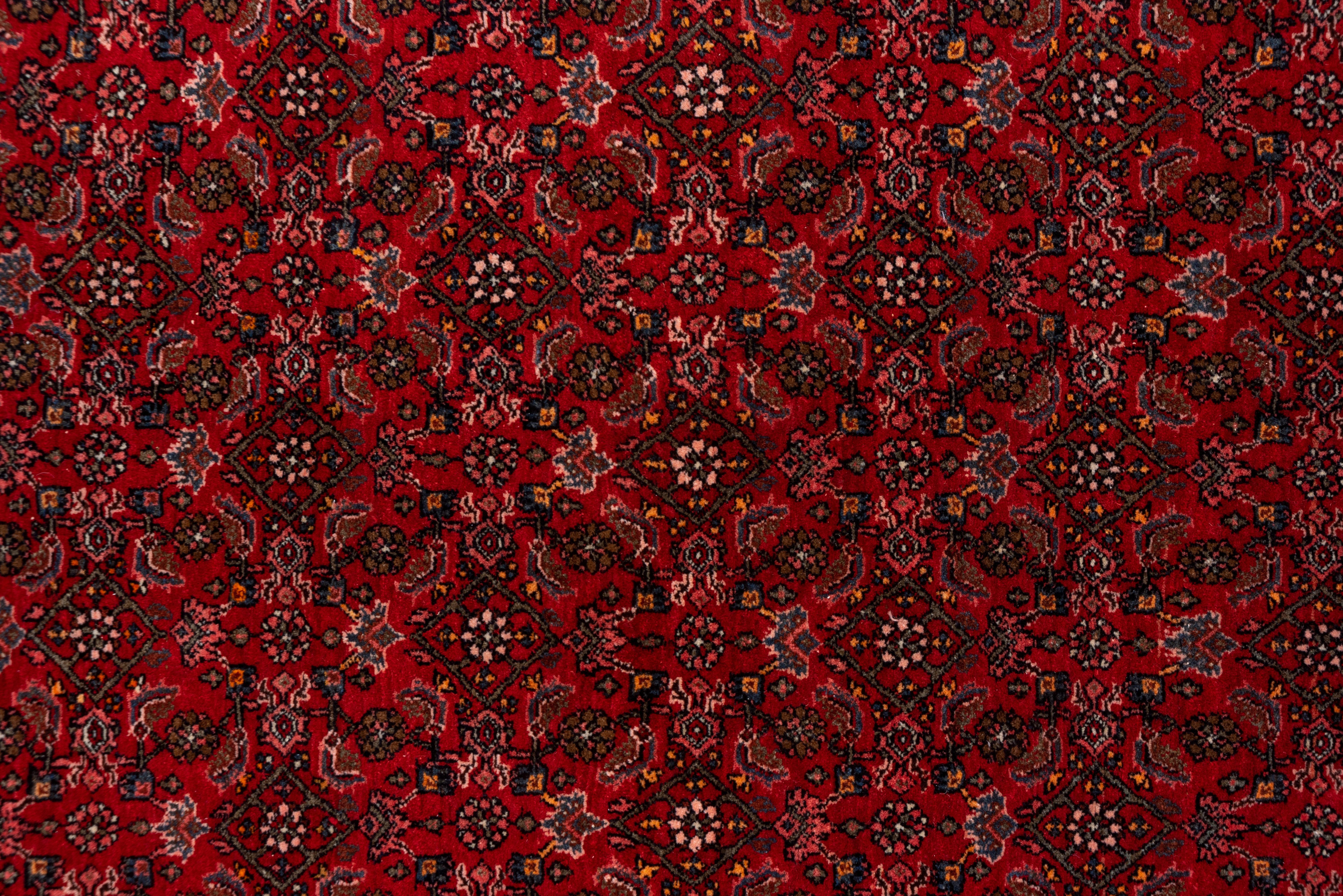 Antiker persischer Bidjar-Teppich, rotes Feld, All-Over- Field, rosa Bordüren (Handgeknüpft) im Angebot