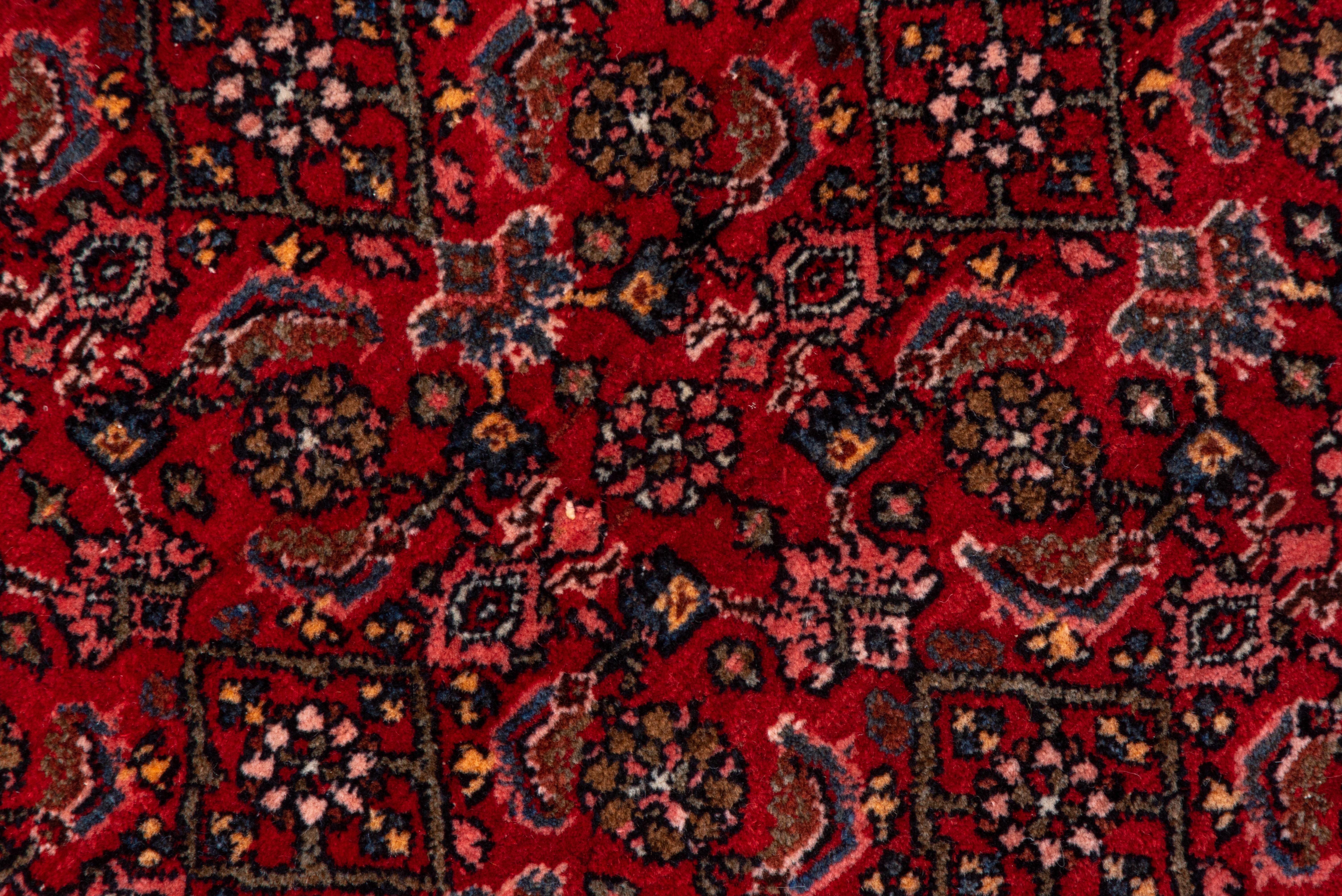 Antiker persischer Bidjar-Teppich, rotes Feld, All-Over- Field, rosa Bordüren im Zustand „Gut“ im Angebot in New York, NY