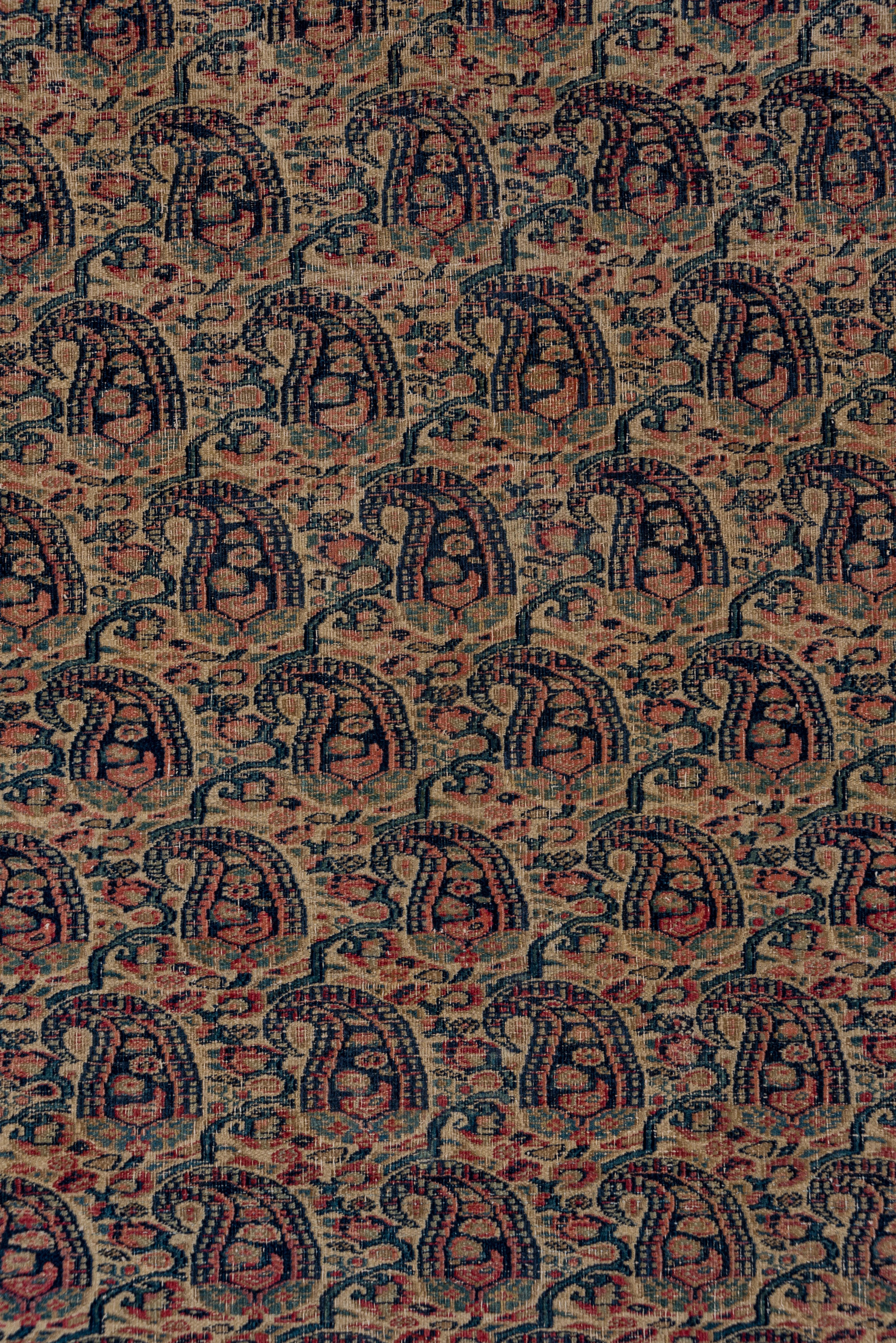 Feiner antiker persischer Khorassan-Teppich, All-Over-Paisley-Feld, um 1900 (Handgeknüpft) im Angebot