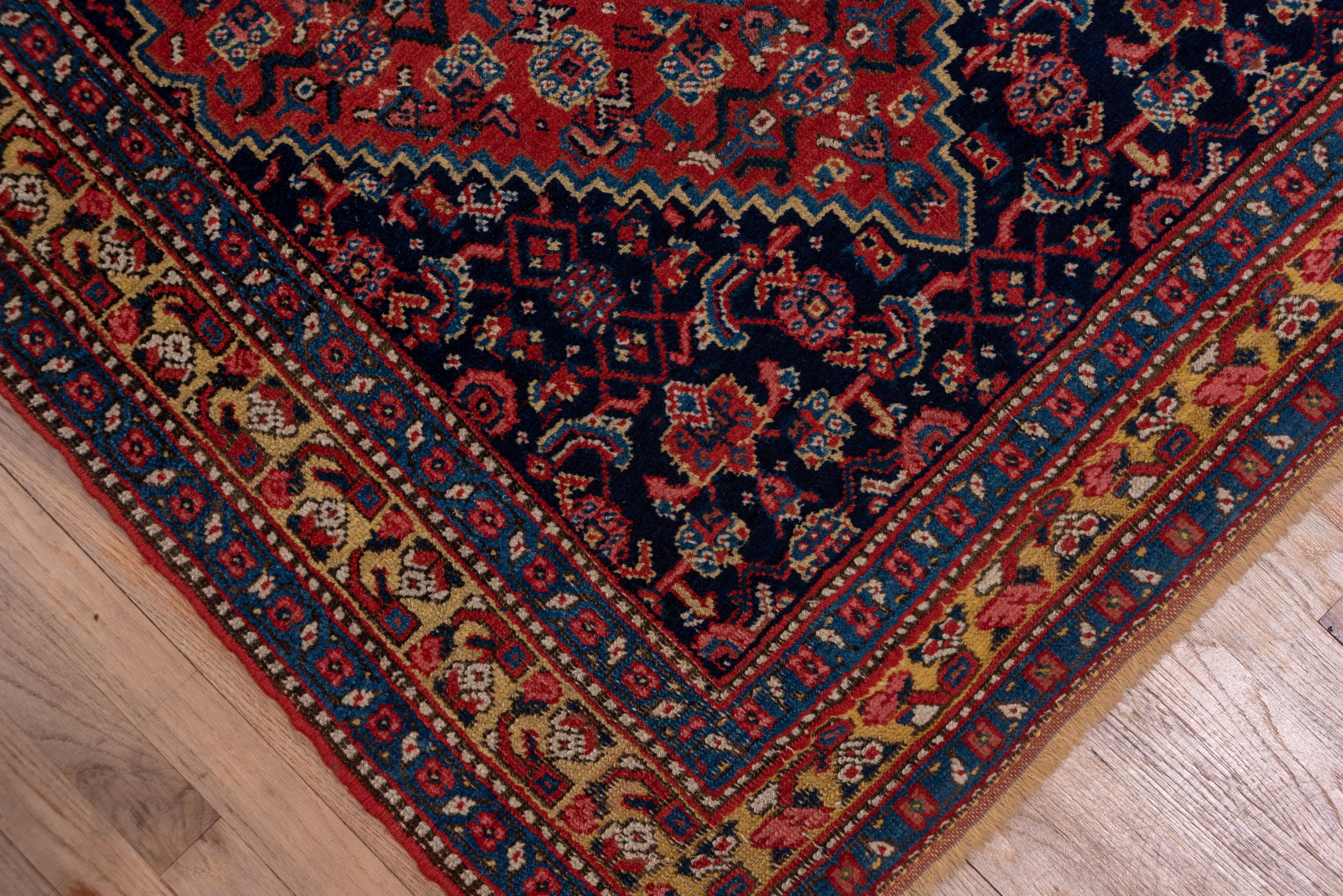 Early 20th Century Fine Antique Tribal Bidjar Runner, Navy & Red Field, Gold Borders, circa 1900s For Sale