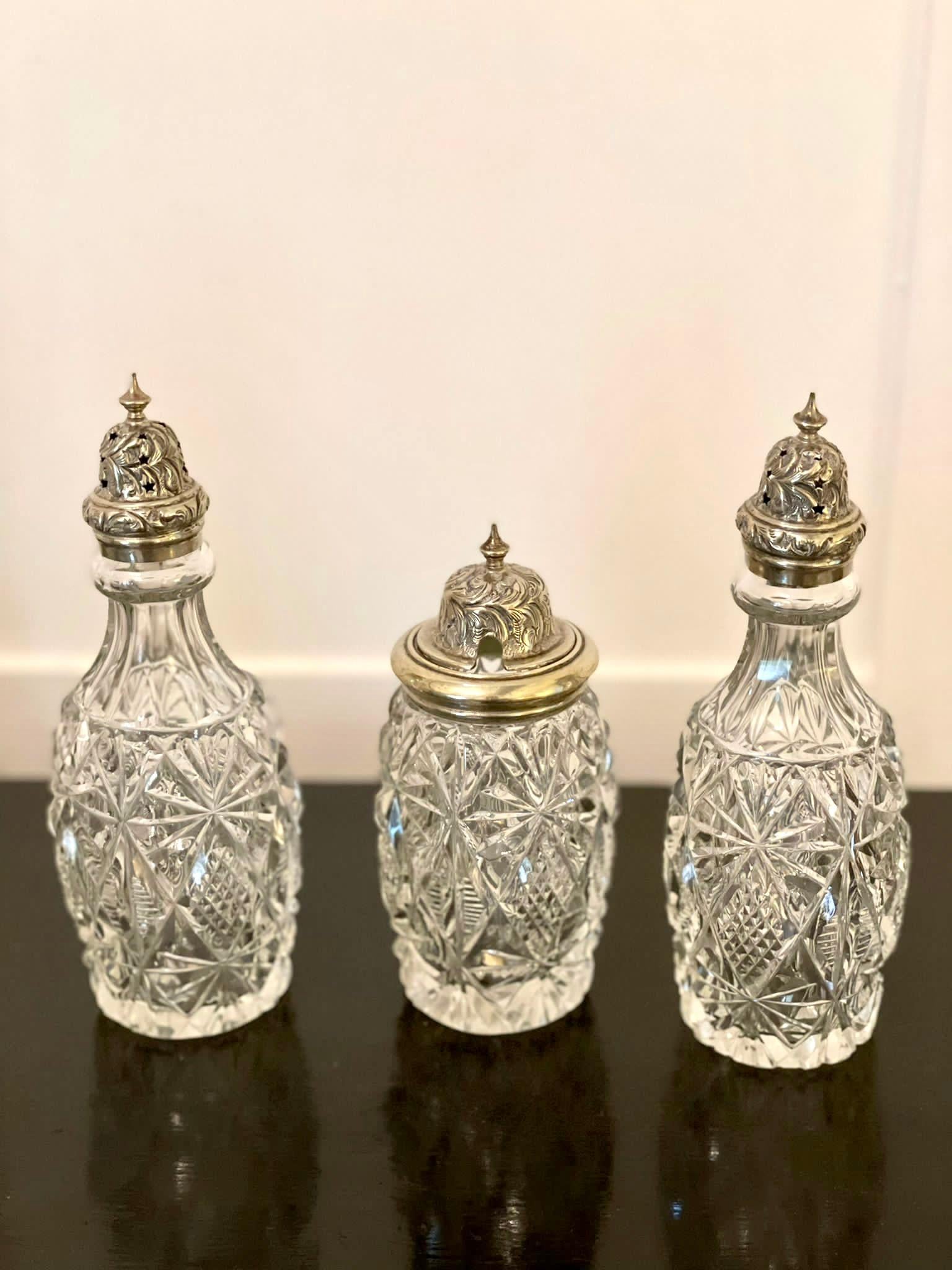Fine Antique Victorian Silver Plated Six Bottle Cruet Set In Excellent Condition In Suffolk, GB