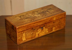 FiNE ANTIQUE VICTORIAN STAUNTON CHESS SET & CHESSBOARD IN ROMAN HORSE INLAID BOX