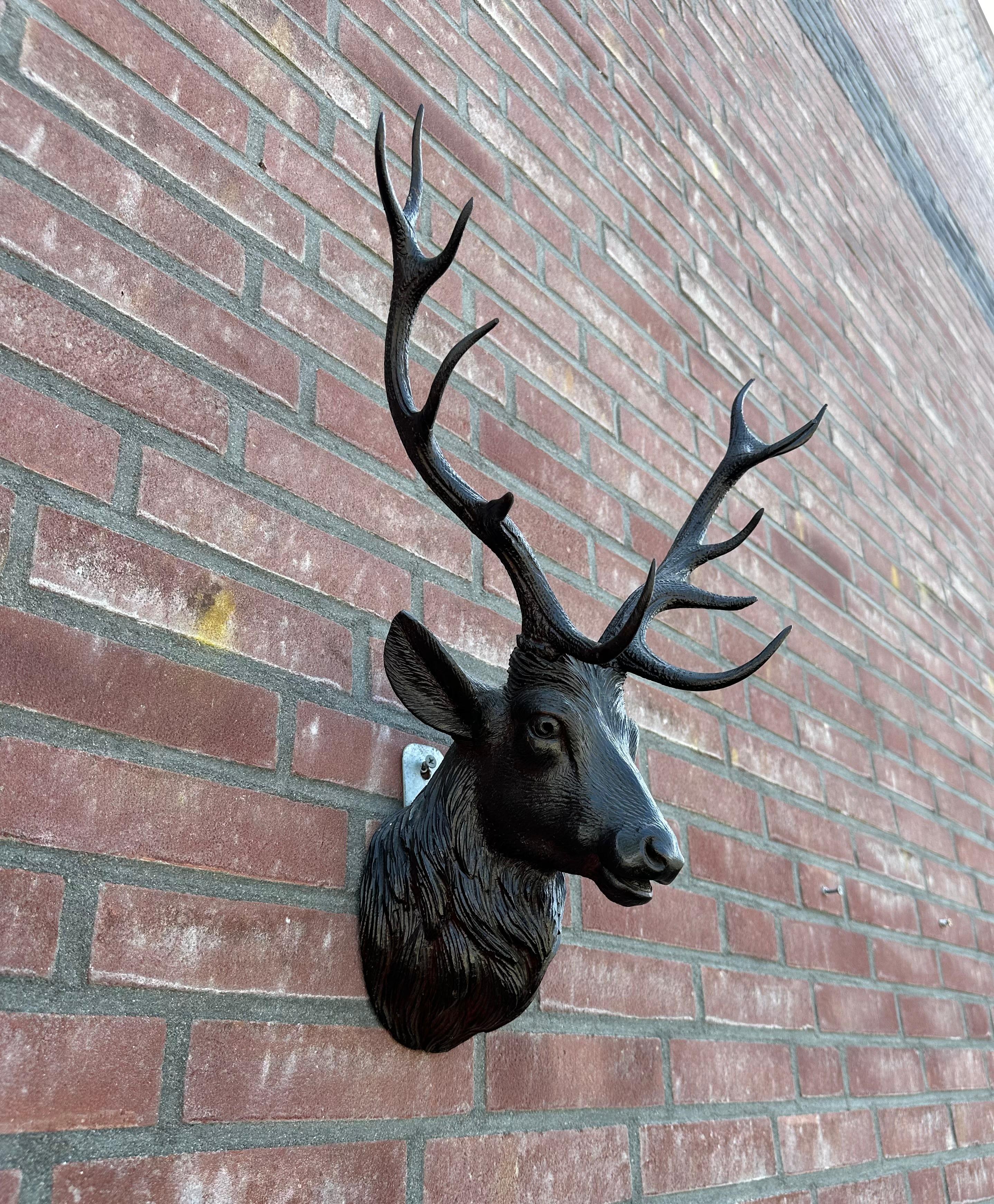 Escultura de pared de madera antigua tallada a mano con forma de trofeo de ciervo de la Selva Negra en venta 6