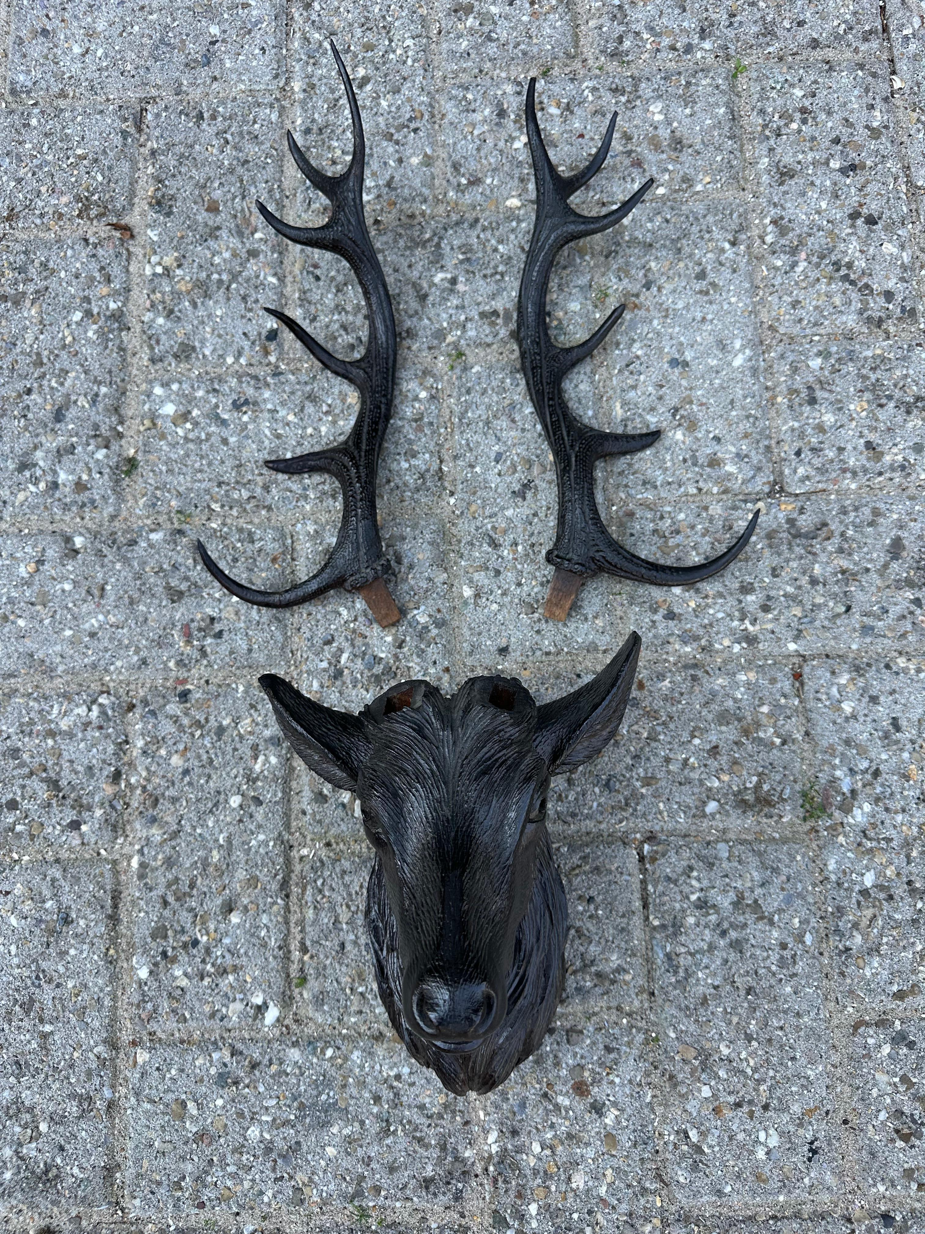 Escultura de pared de madera antigua tallada a mano con forma de trofeo de ciervo de la Selva Negra en venta 7