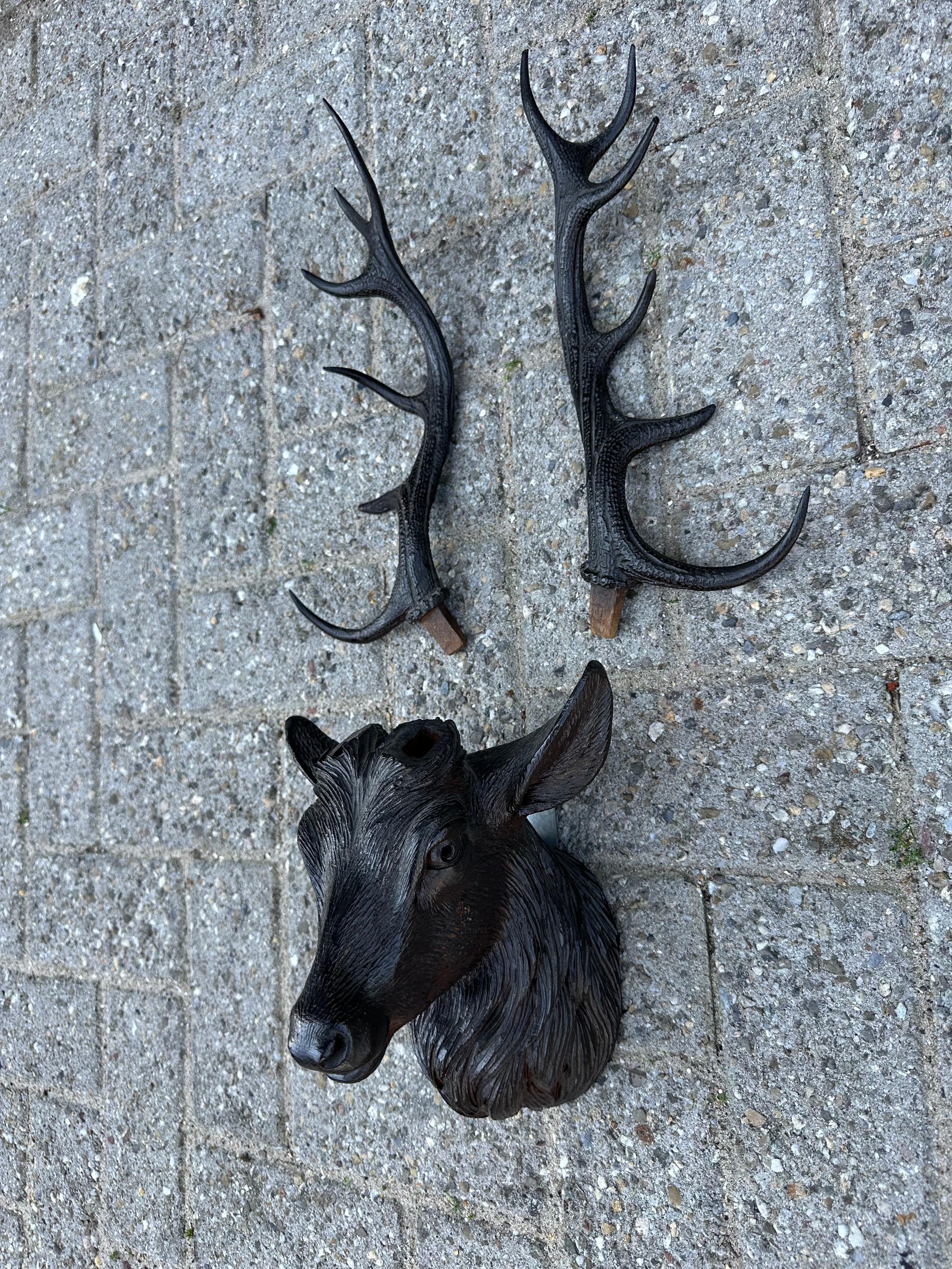 Escultura de pared de madera antigua tallada a mano con forma de trofeo de ciervo de la Selva Negra en venta 8