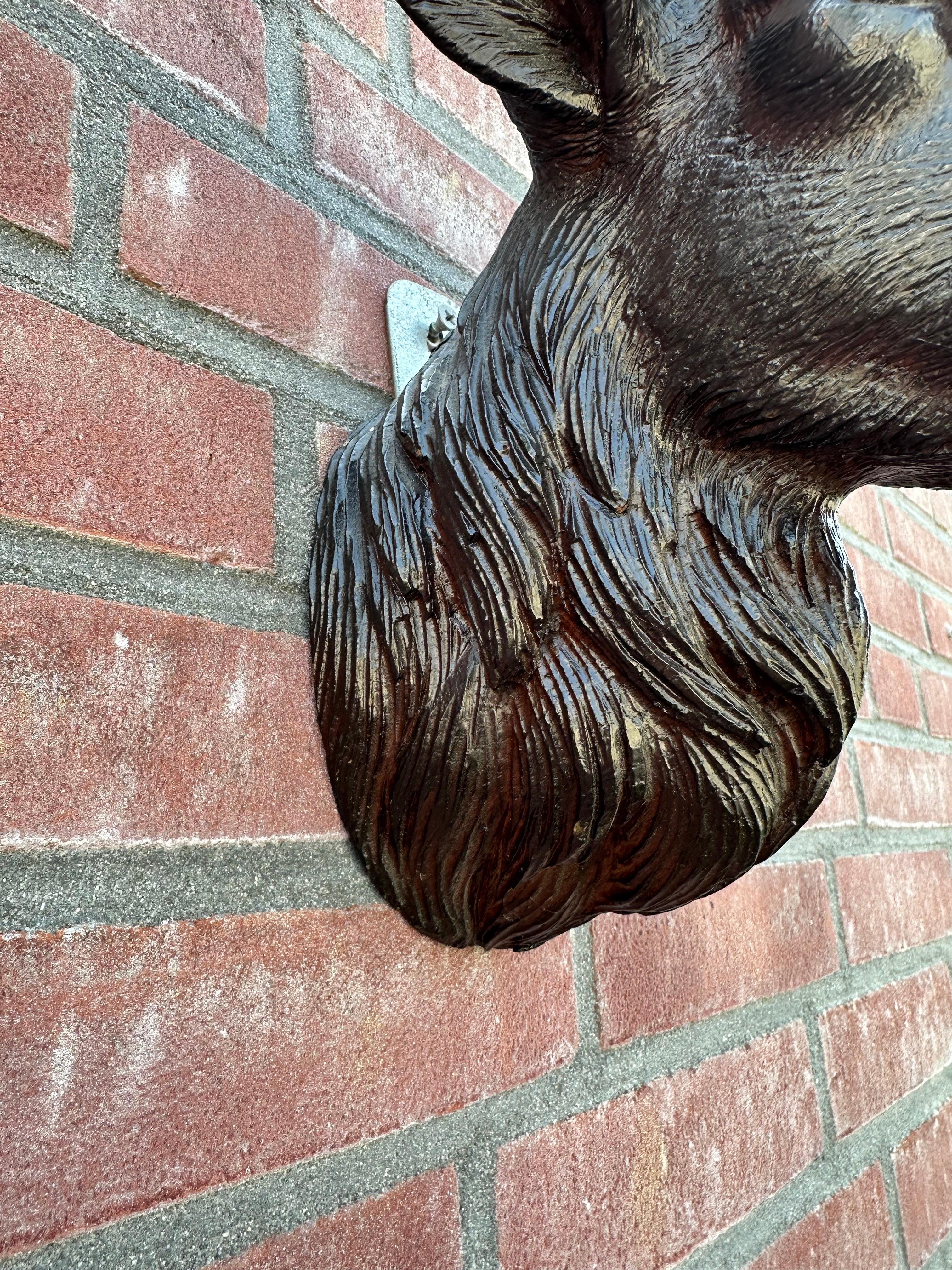 Escultura de pared de madera antigua tallada a mano con forma de trofeo de ciervo de la Selva Negra siglo XIX en venta