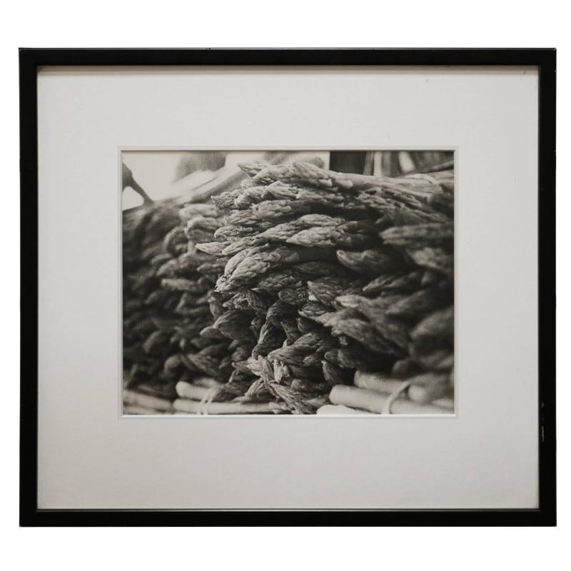 Fine Art Photograph of a Bunch of Asparagus For Sale