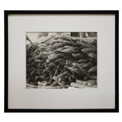 Vintage Fine Art Photograph of a Bunch of Asparagus