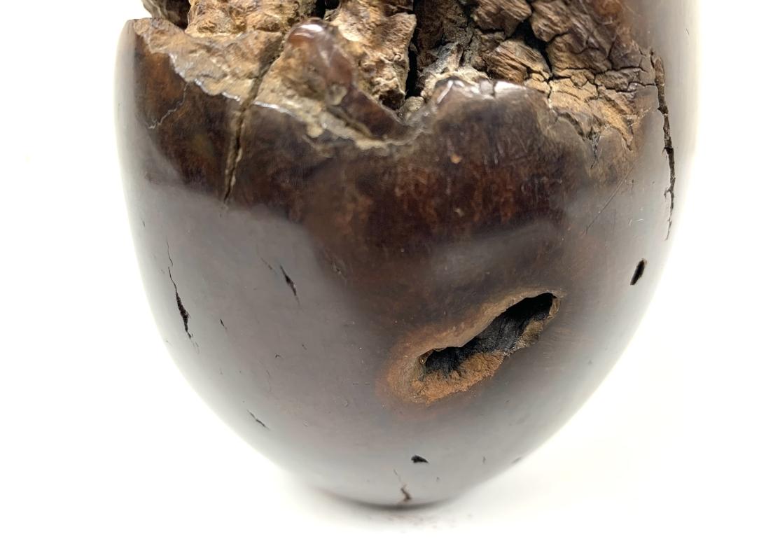 Fine Artisan Crafted Carved Burl Wood Vase For Sale 3