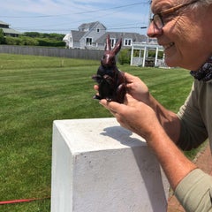 Japanese Big Old Bronze Garden Rabbit