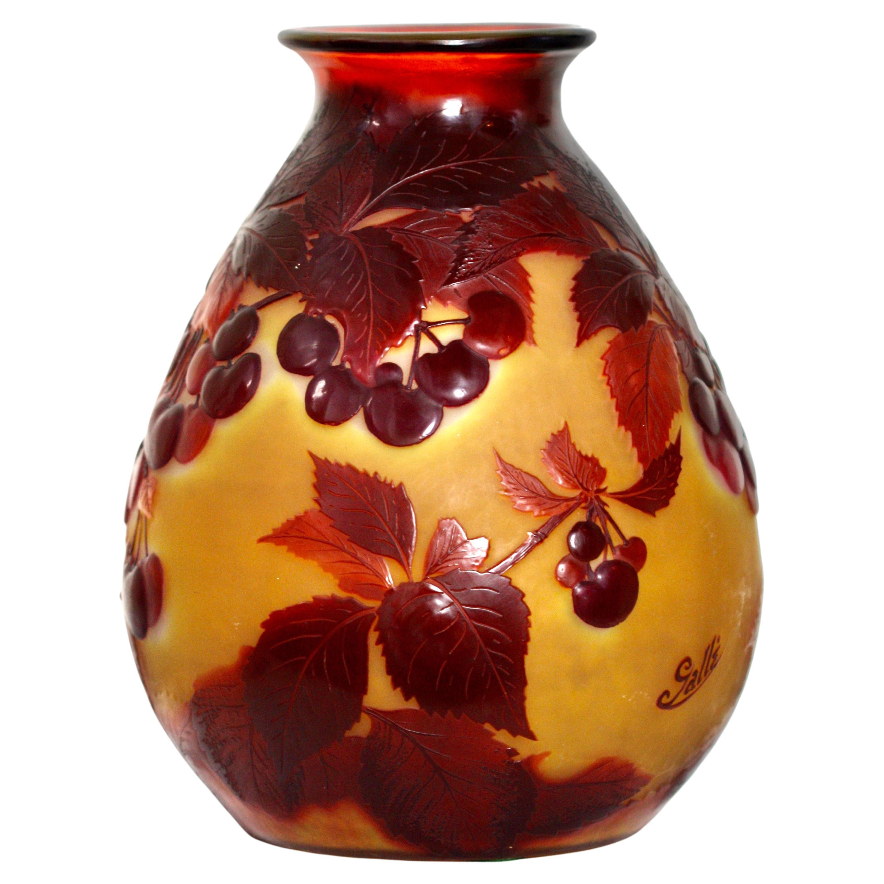 Fine 'Blow-out' Cameo Glass Vase, 'Cherry' Galle For Sale