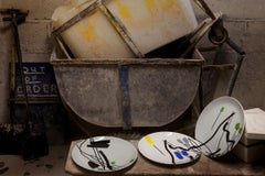 Fine Bone China Plate with Unique Silk-Screen Decals, Plate 18