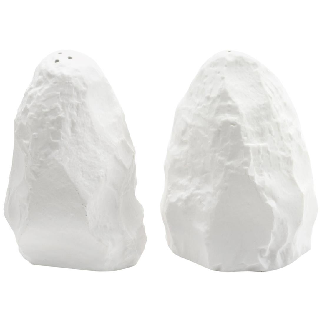 Fine Bone China Salt and Pepper Slip-Cast Hand Carved Plaster Models For Sale