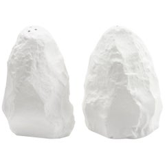 Fine Bone China Salt and Pepper Slip-Cast Hand Carved Plaster Models