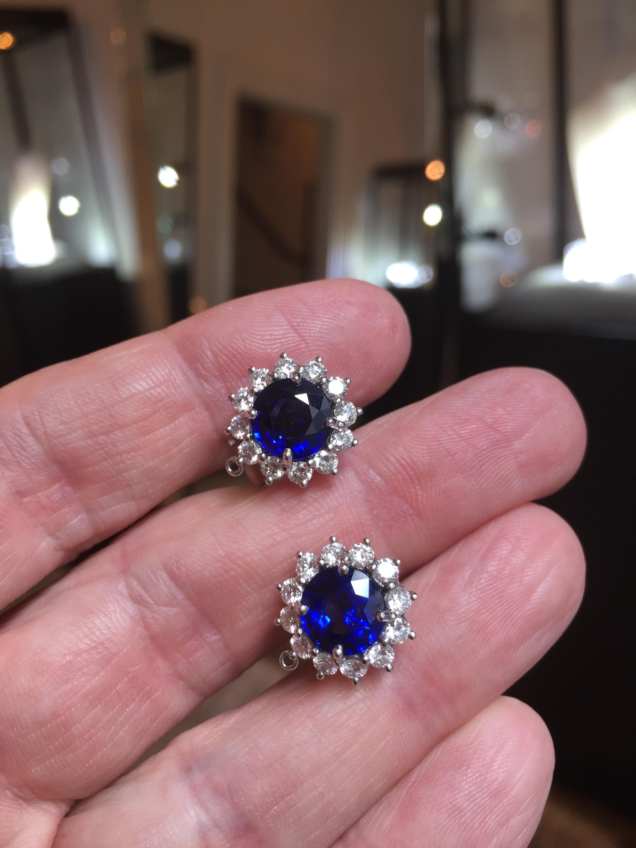 Women's Fine Brilliant Cut Blue Sapphire and Diamond Earrings in Platinum