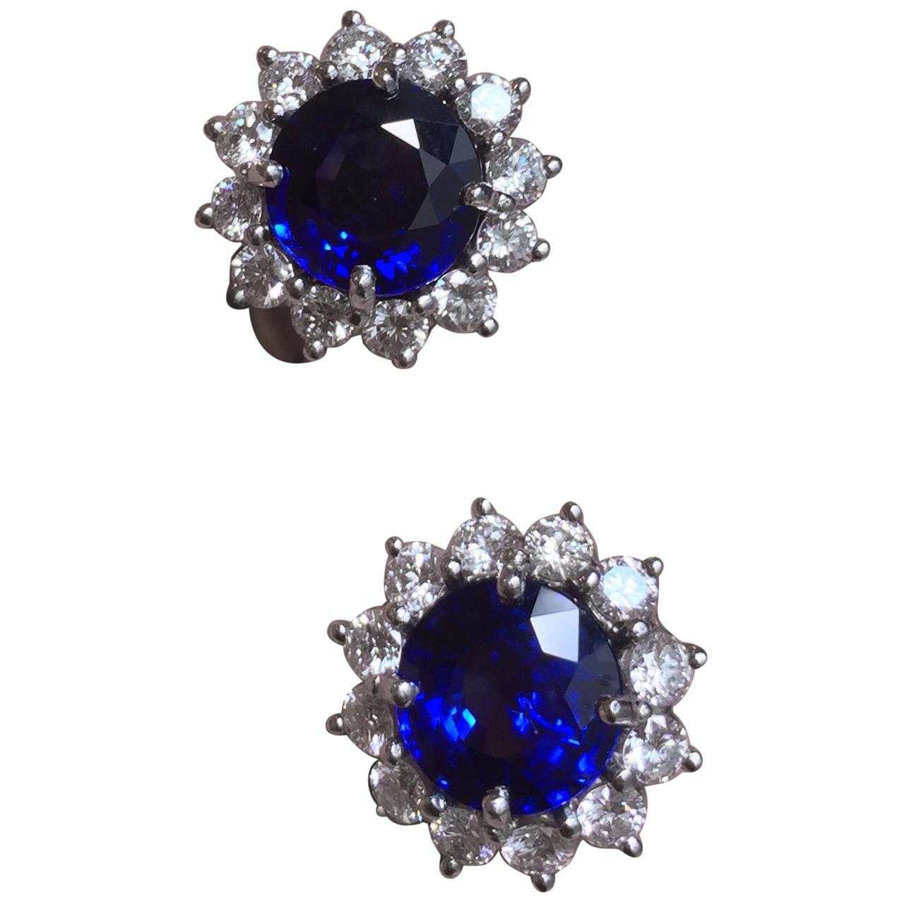 Fine Brilliant Cut Blue Sapphire and Diamond Earrings in Platinum For Sale