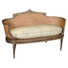 Fine Carved French Bronze Gilded Louis XVI Cane Settee Sofa 