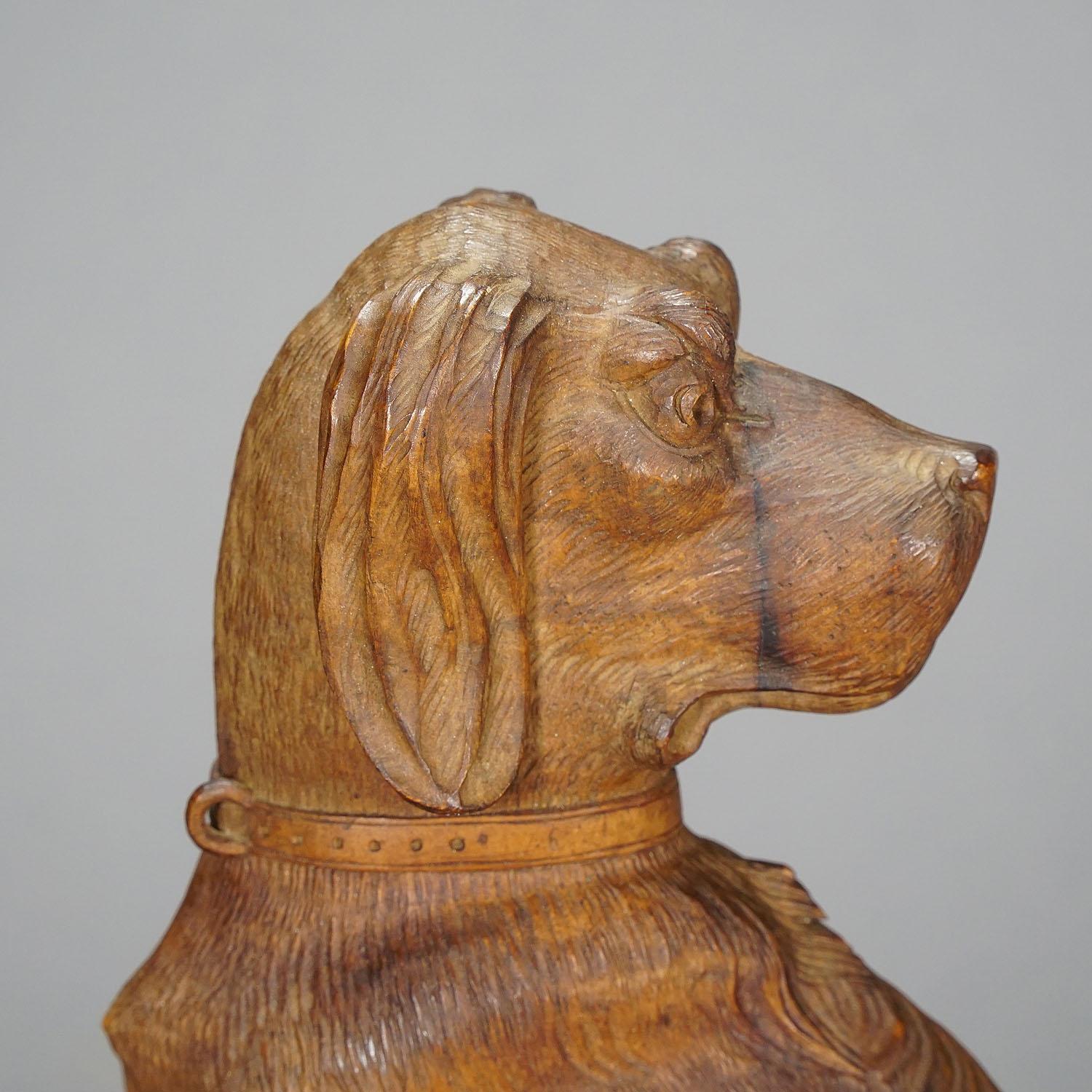 Black Forest Fine Carved Statue of a Staghound, circa 1920 For Sale