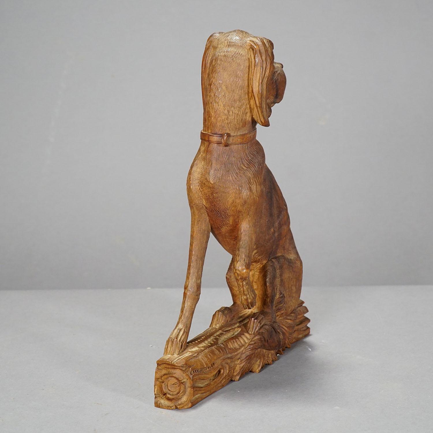 Fein geschnitzte Statue eines Hirschhundes, um 1920 (Geschnitzt) im Angebot