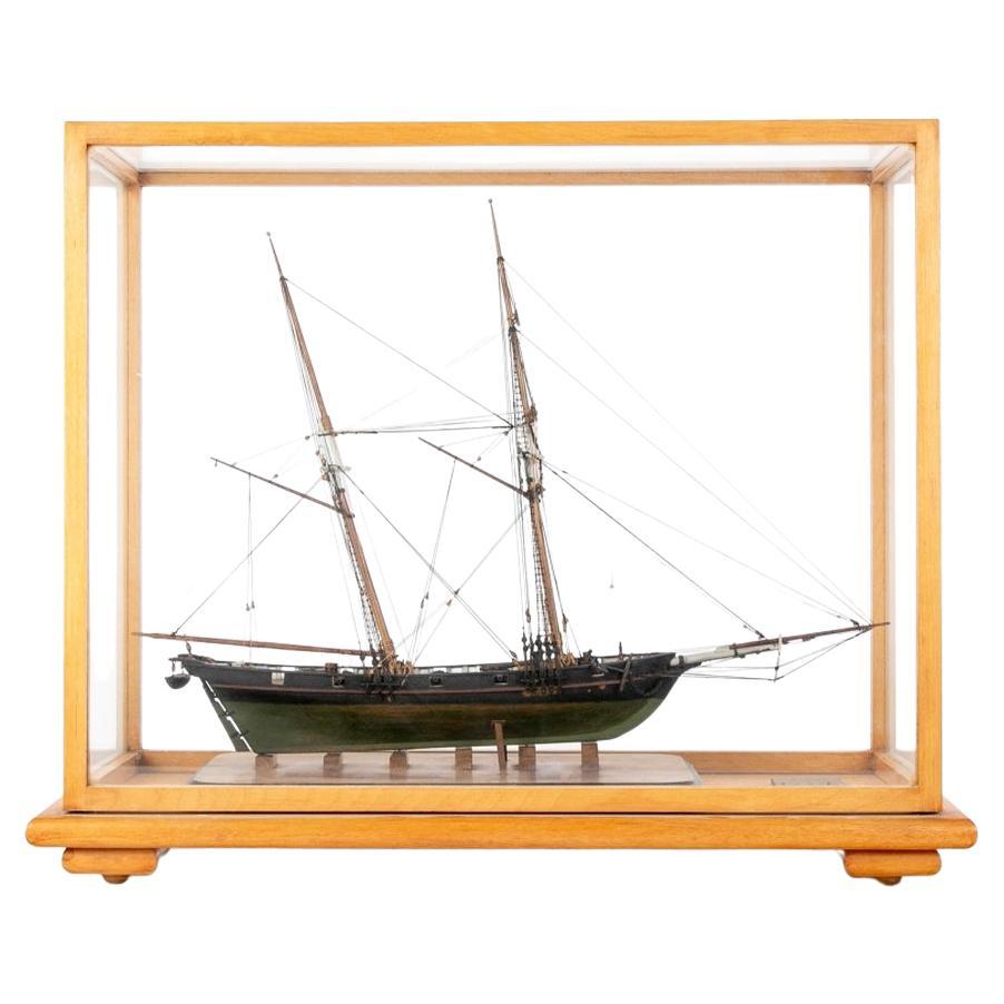 Fine Cased Ship Model Baltimore Clipper, 1812  For Sale
