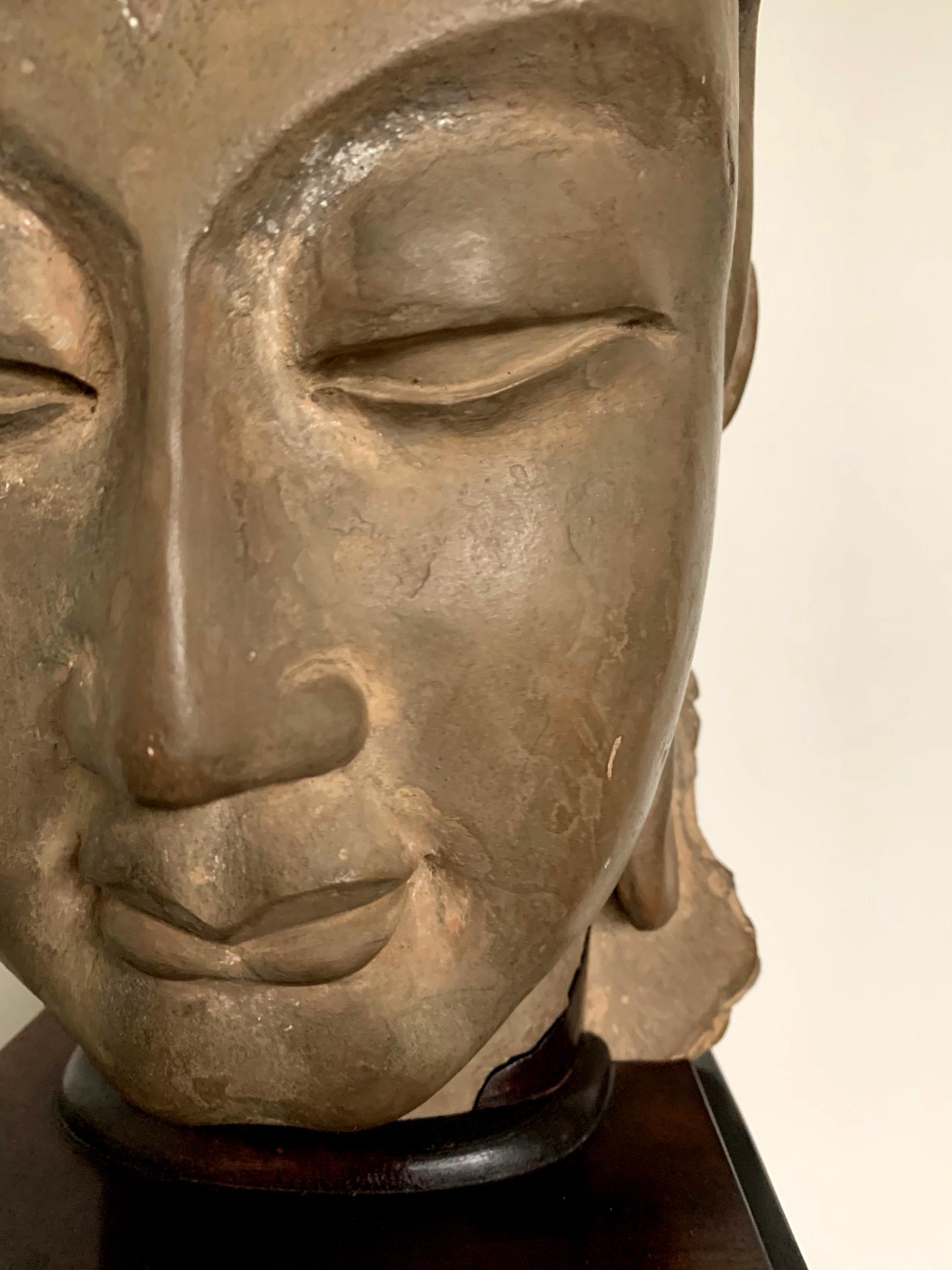 Chinesischer Stuckkopf des Bodhisattva-Stils der südlichen Dynastie im Angebot 10