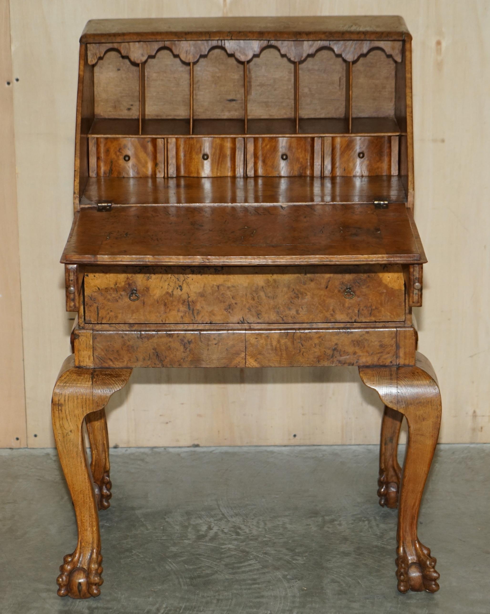 Schreibtisch aus gepolsterter Eiche, um 1800, Klauen- und Kugelförmige handgeschnitzte Beine im Angebot 7