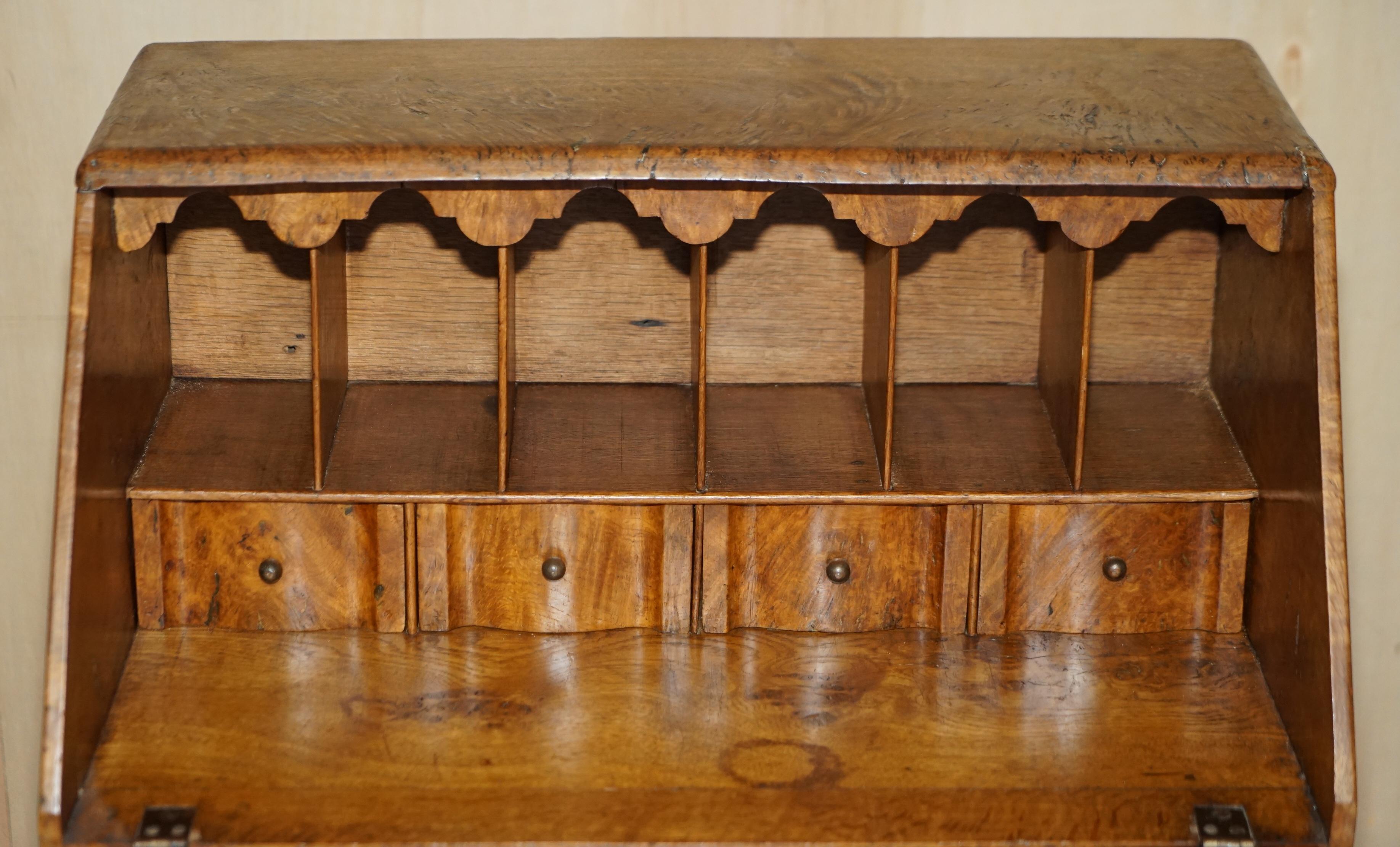 Schreibtisch aus gepolsterter Eiche, um 1800, Klauen- und Kugelförmige handgeschnitzte Beine im Angebot 8