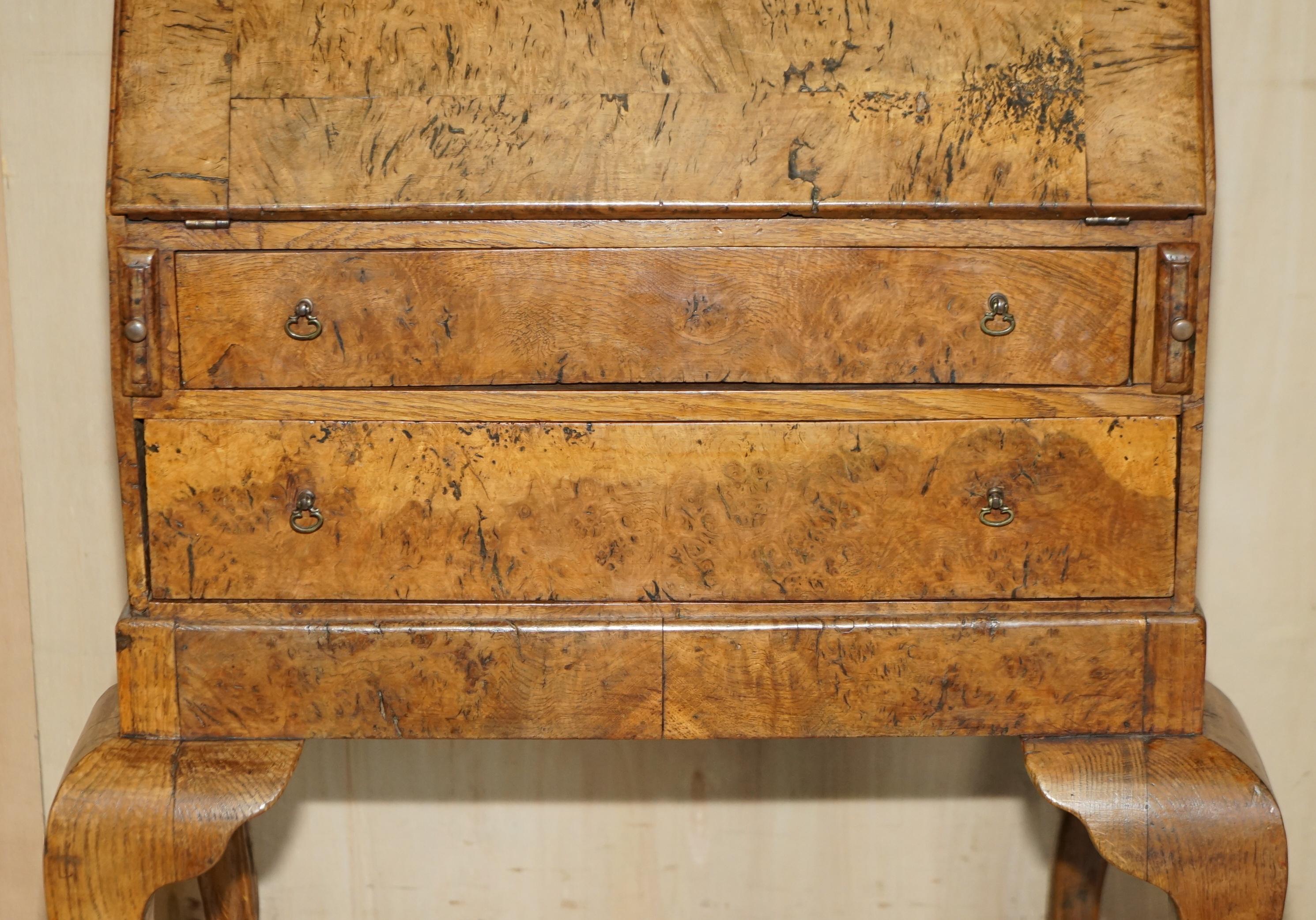 Schreibtisch aus gepolsterter Eiche, um 1800, Klauen- und Kugelförmige handgeschnitzte Beine (Englisch) im Angebot