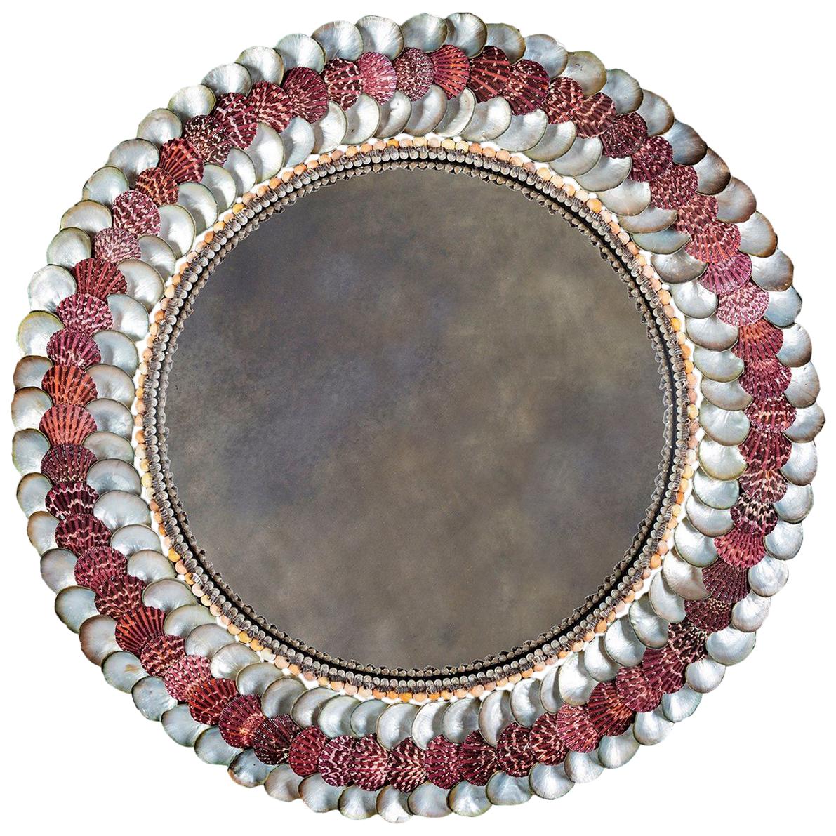 Fine Convex Shell Mirror by Tess Morley