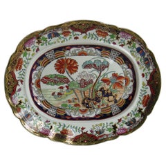 Antique Fine Early Mason's Ironstone Platter in rare Muscove Duck Pattern, circa 1825