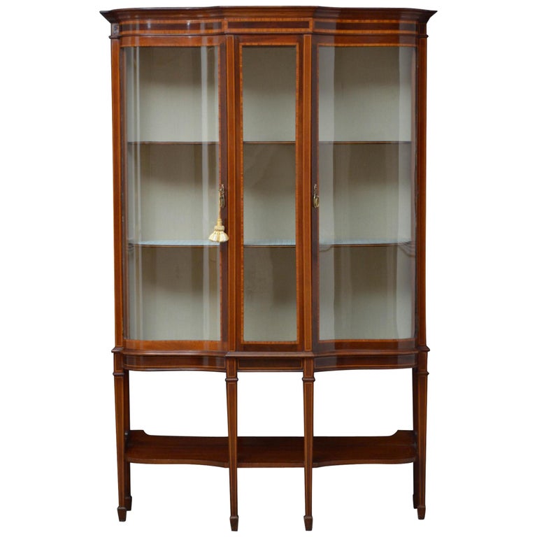 Fine Edwardian Mahogany Display For Sale at 1stDibs