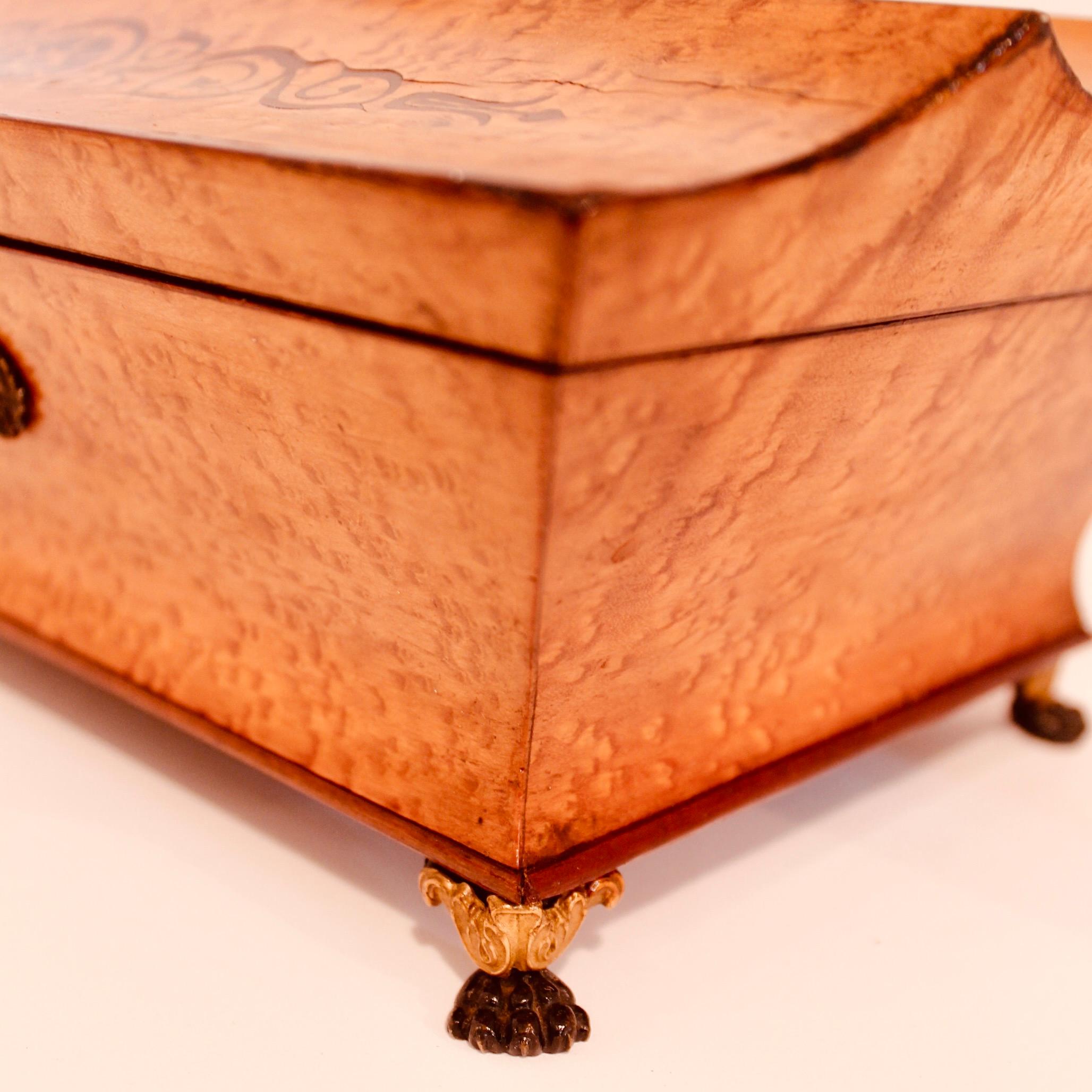 Fine English Regency Period Bird’s Eye Maple Marquetry Box For Sale 1
