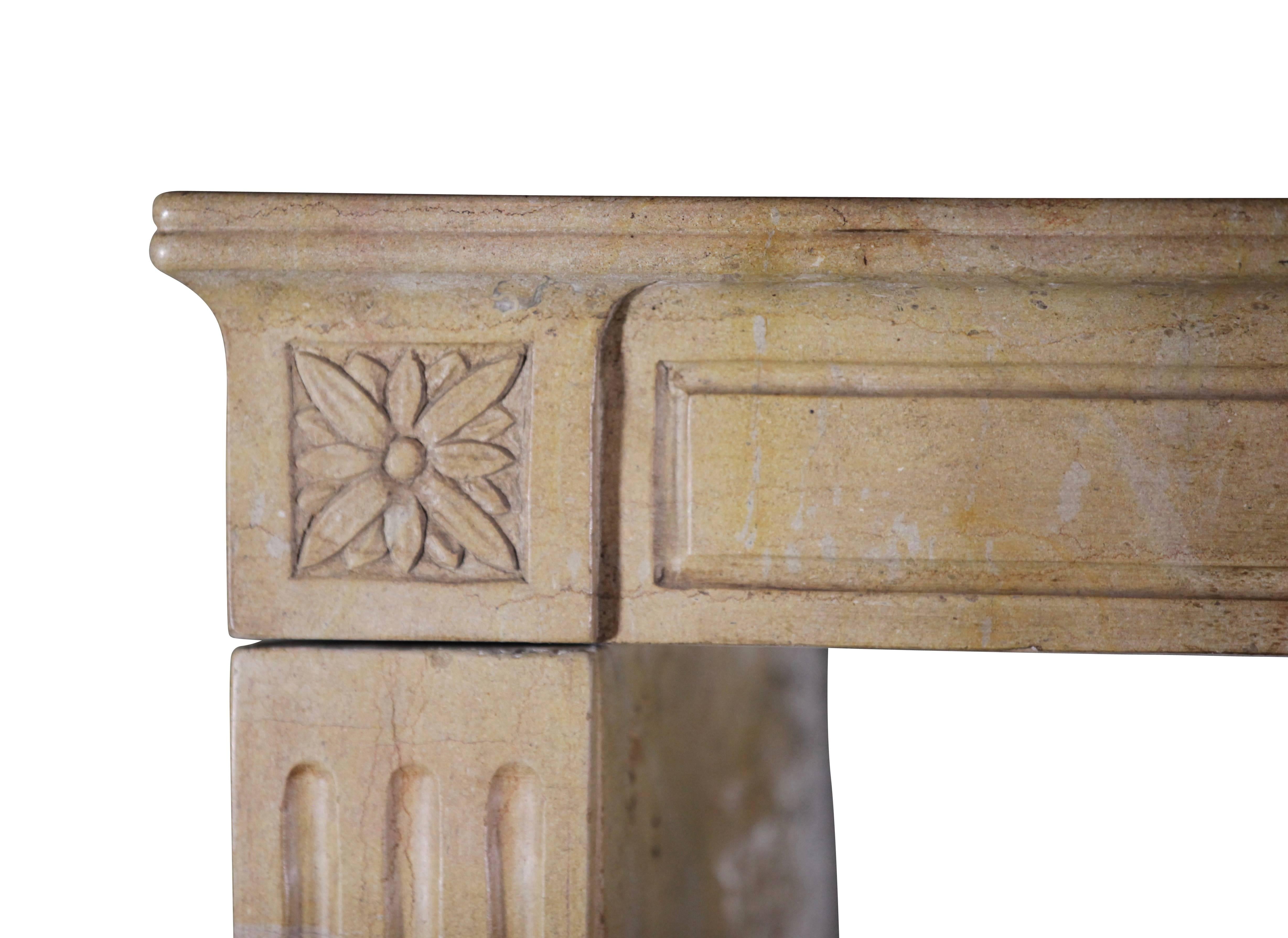 French Fine European Antique Stone Fireplace Surround For Sale