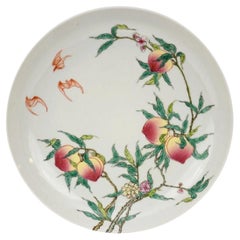 Porcelain