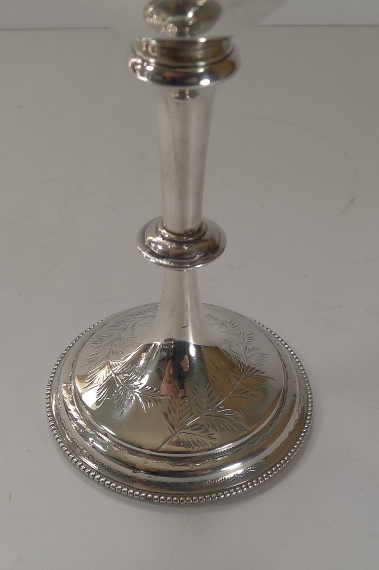 Fine Fern Engraved Sterling Silver Goblet, 1883 1
