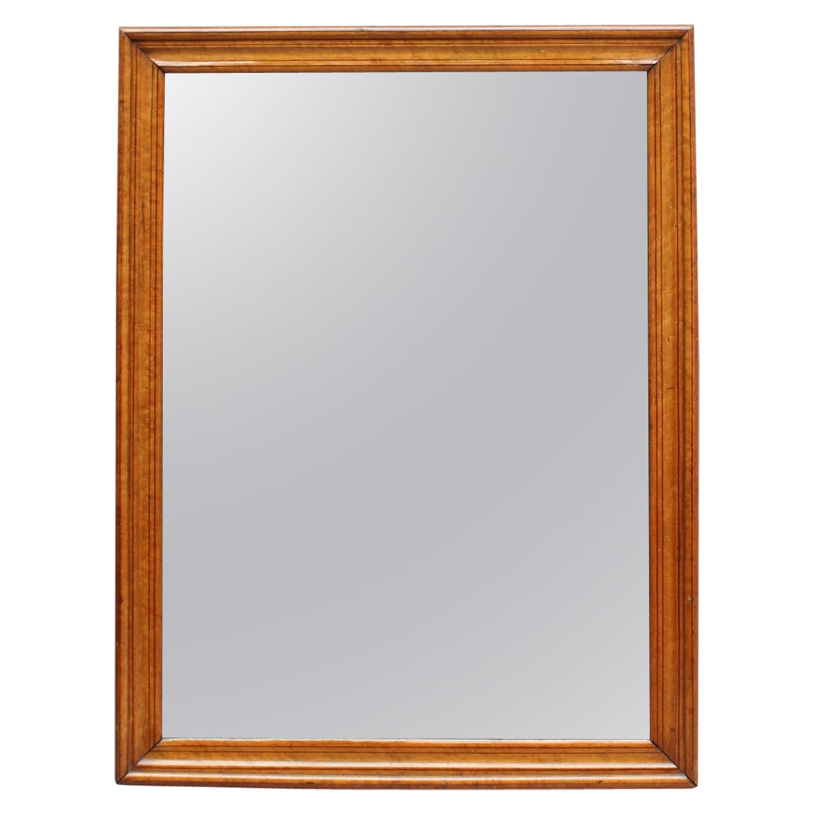 Fine French 19th Century Wood Framed Mirror