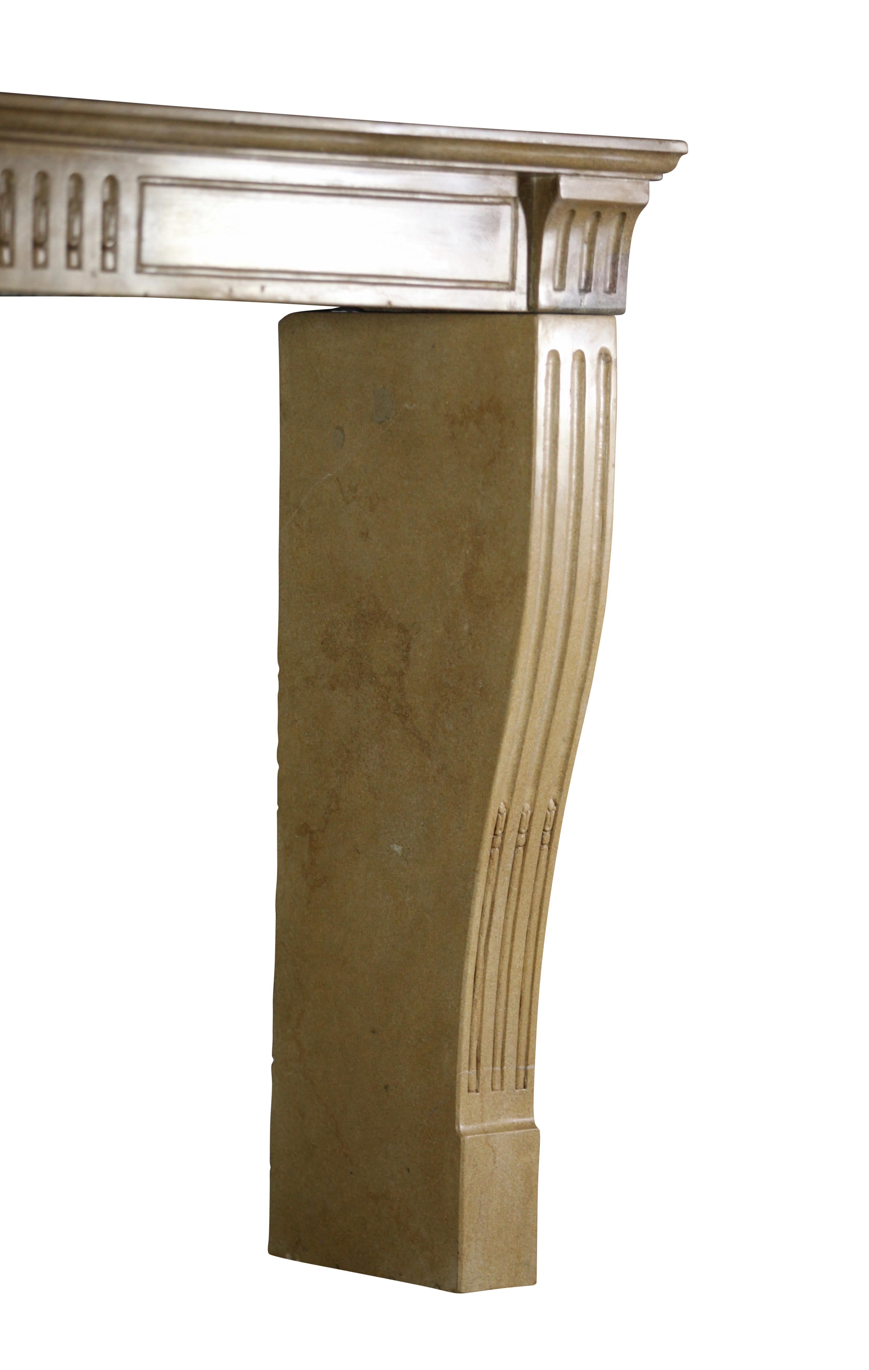 Fine French Classic Room Fireplace Surround in Bicolor Hard Limestone For Sale 4