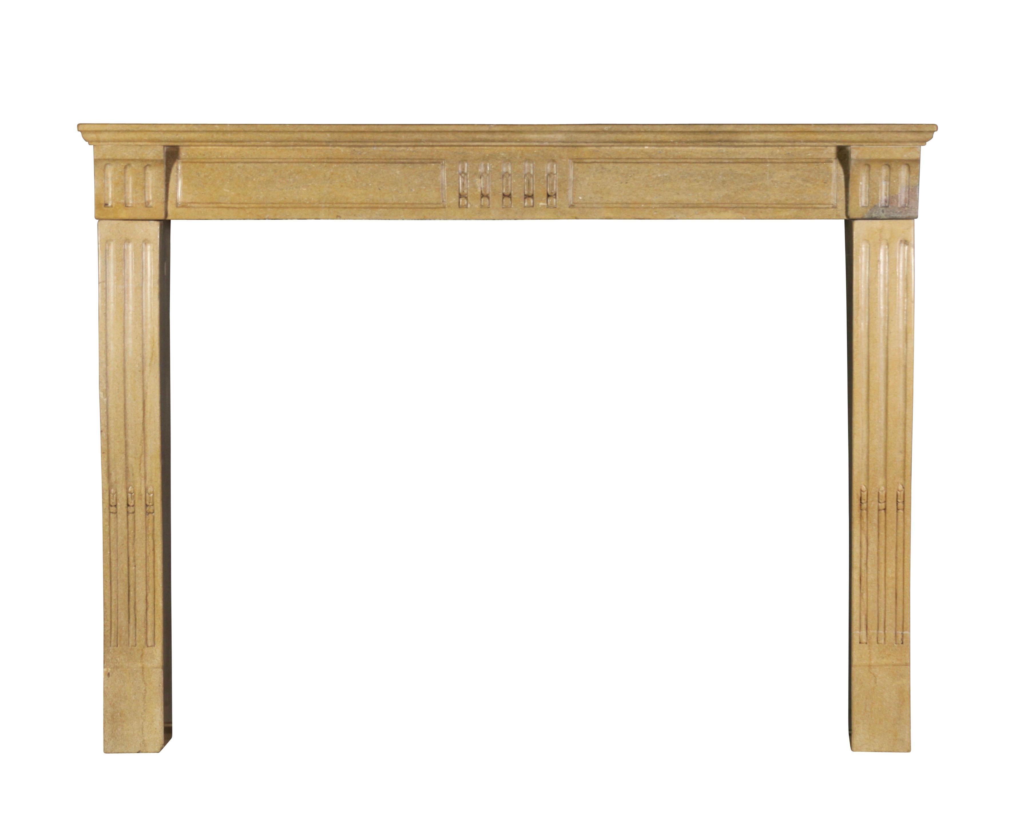 Fine French Classic Room Fireplace Surround in Bicolor Hard Limestone For Sale 9