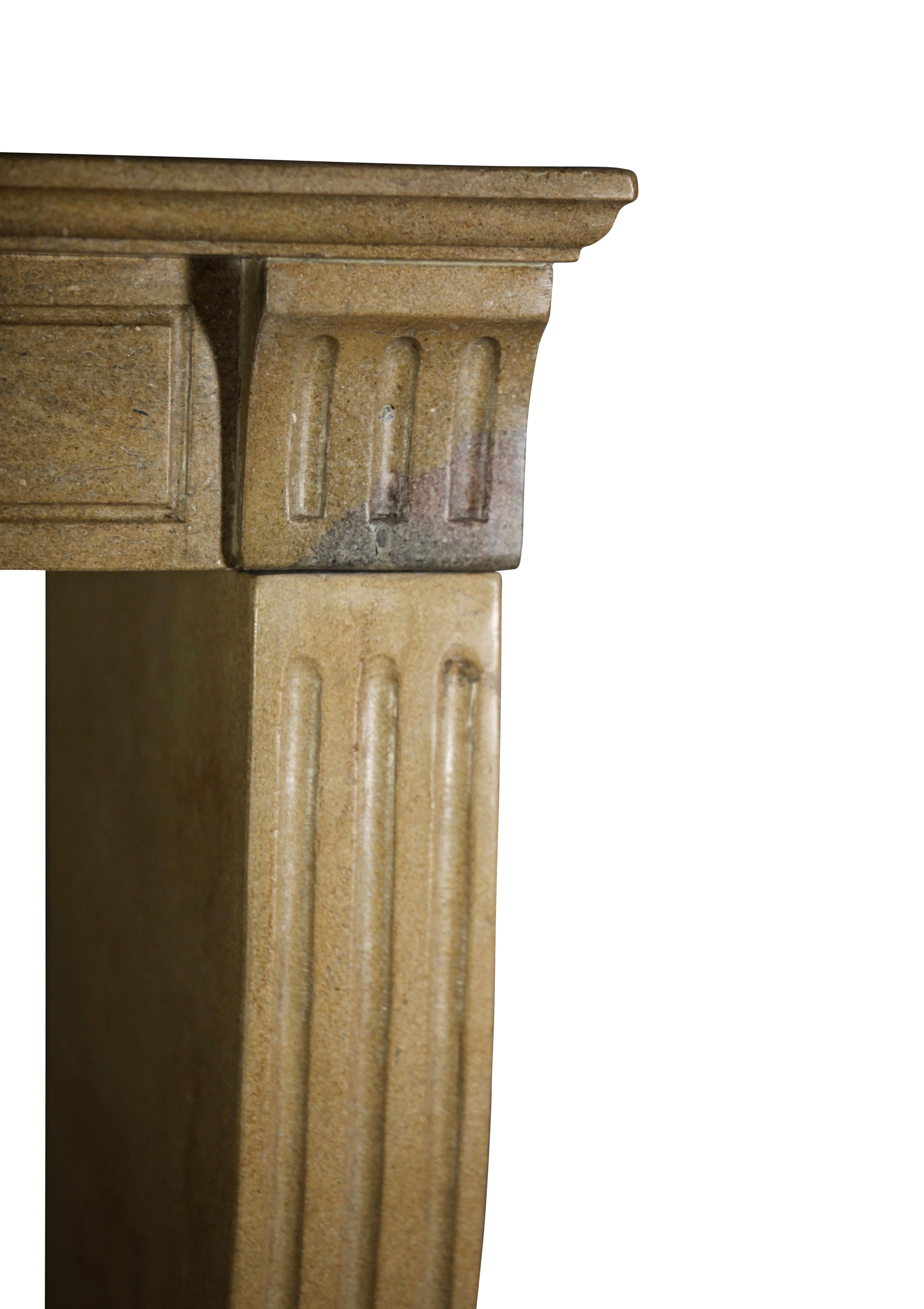 Louis XVI Fine French Classic Room Fireplace Surround in Bicolor Hard Limestone For Sale