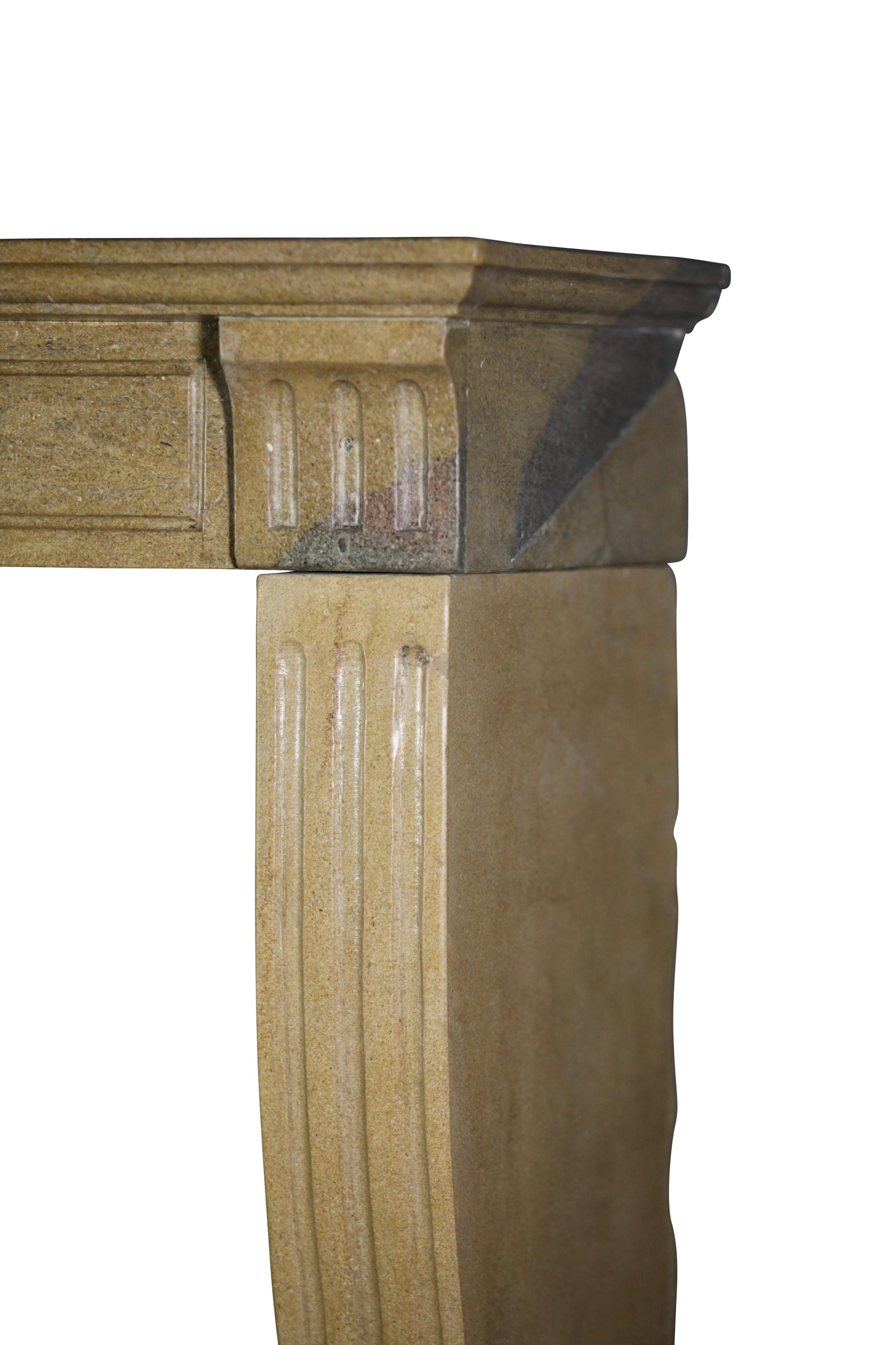 Hand-Carved Fine French Classic Room Fireplace Surround in Bicolor Hard Limestone For Sale