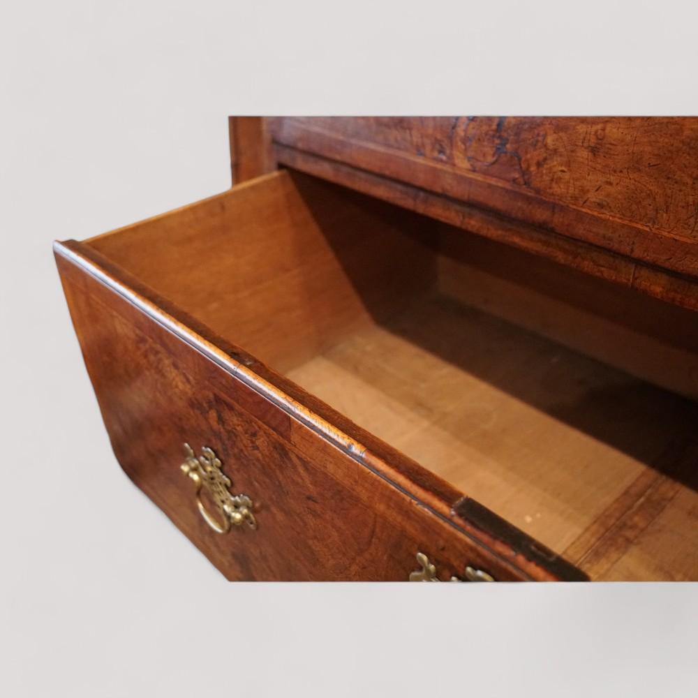 Fine George II walnut tallboy with sunburst For Sale 4