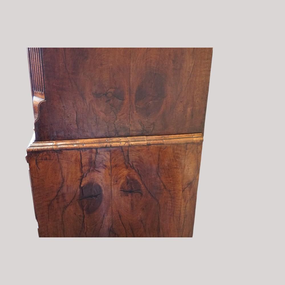 Fine George II walnut tallboy with sunburst For Sale 6
