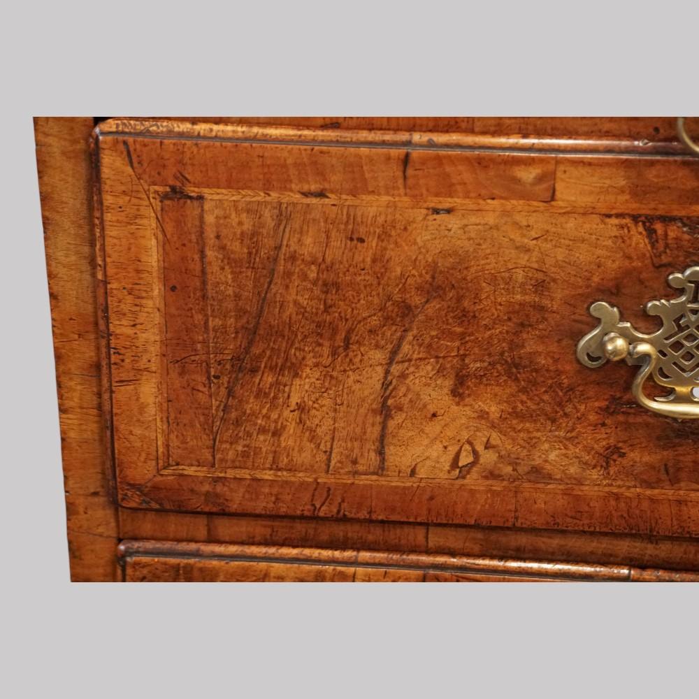 Fine George II walnut tallboy with sunburst For Sale 2