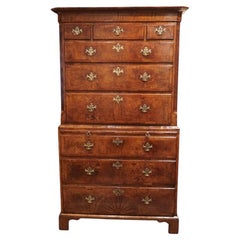 Antique Fine George II walnut tallboy with sunburst