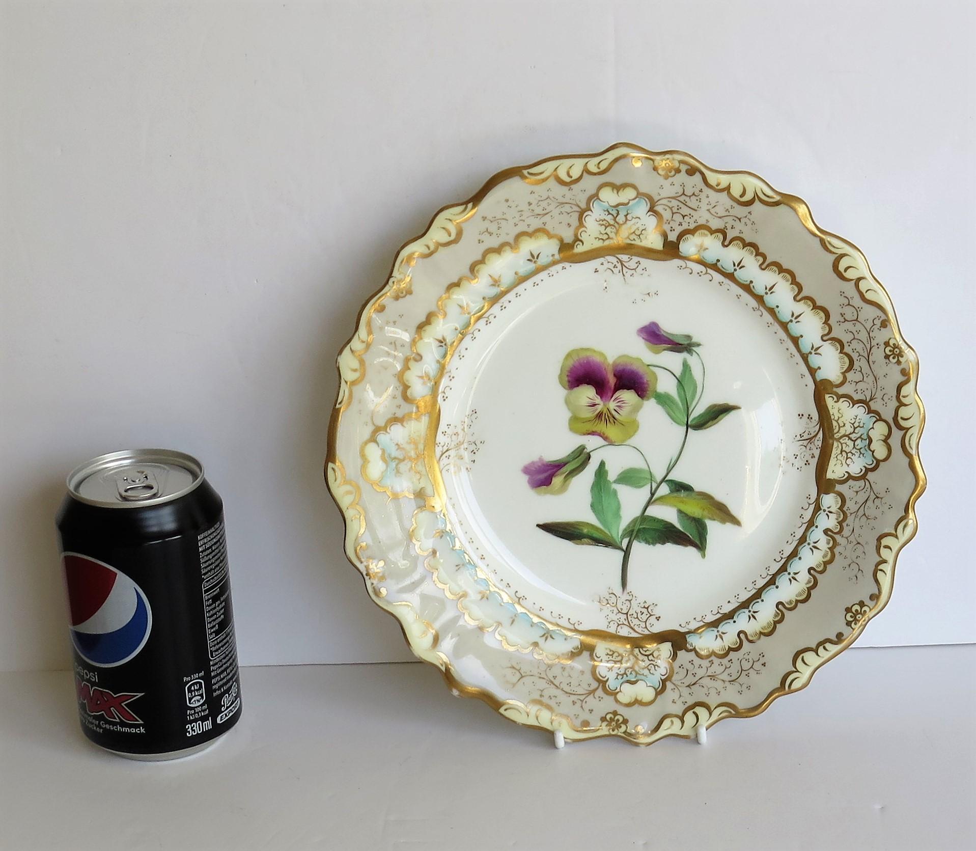 Fine Georgian Porcelain Plate by Samuel Alcock Hand Painted, circa 1835 10