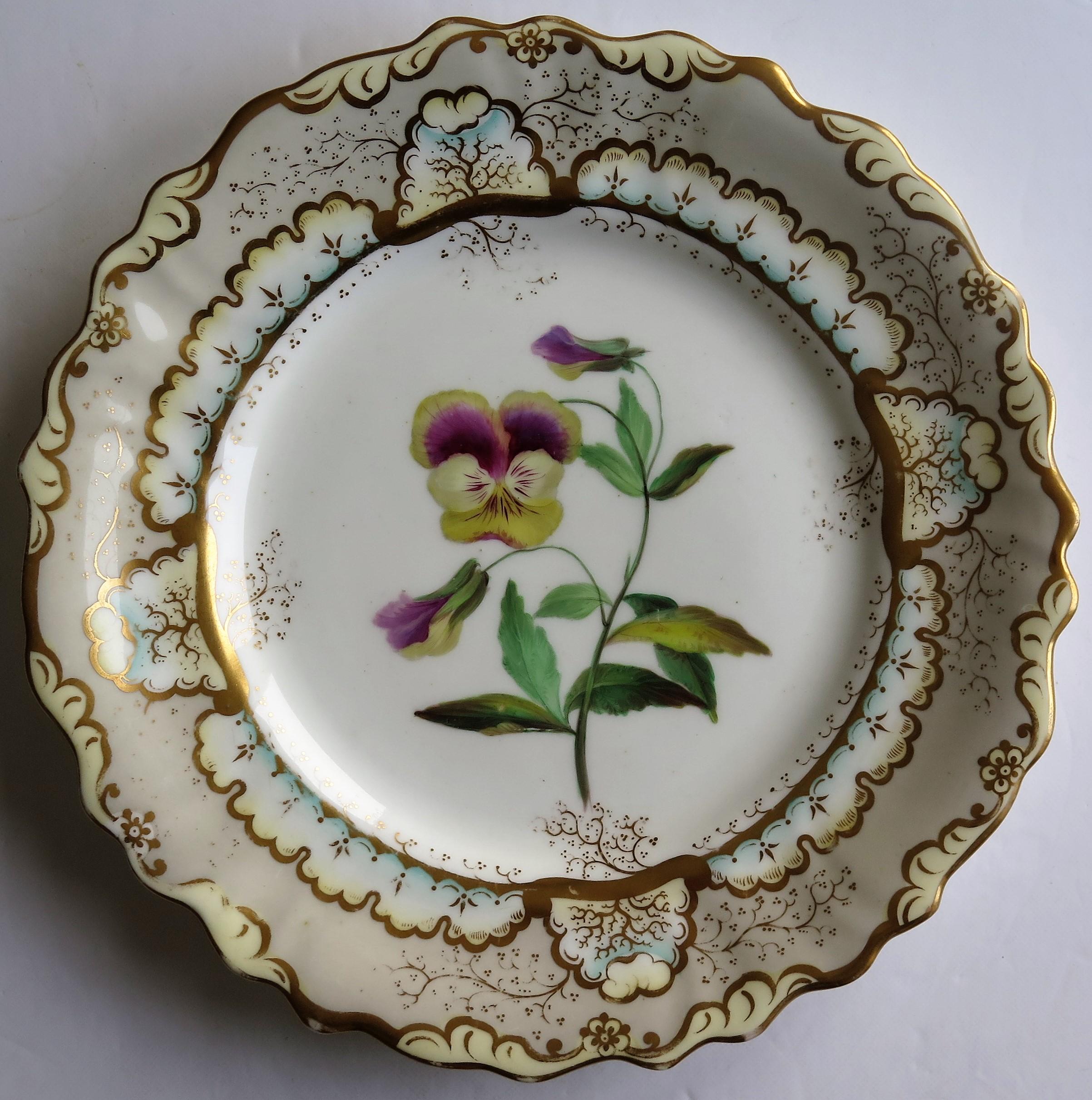 This is a very high quality, finely hand painted botanical plate, that we attribute to Samuel Alcock, of Hill Pottery, Burslem, Staffordshire Potteries, England and dating to the early 19th century late Georgian period, circa 1835.

This plate is