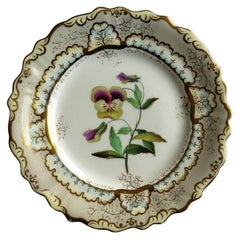 Fine Georgian Porcelain Plate by Samuel Alcock Hand Painted, circa 1835